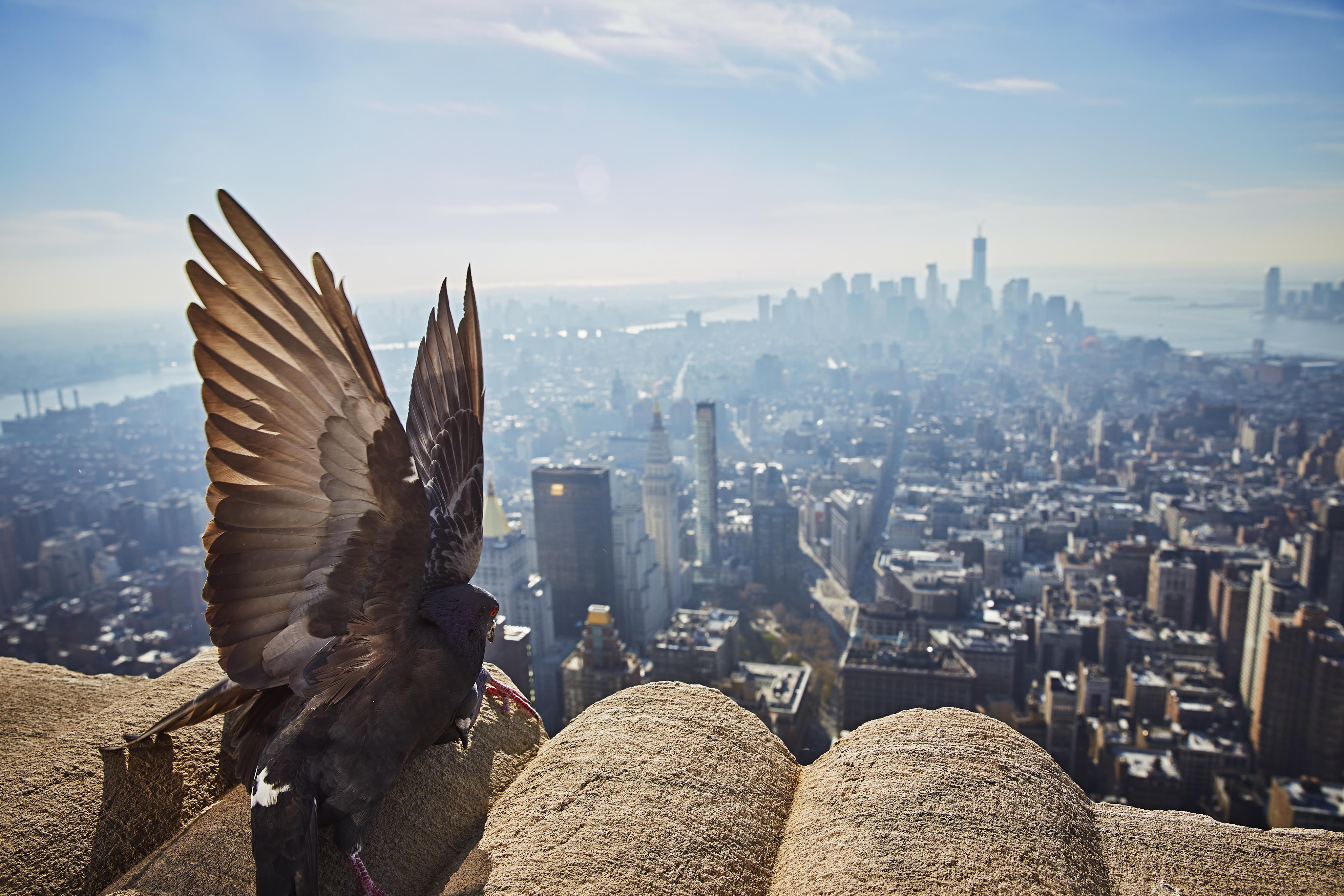 city-travel-destinations