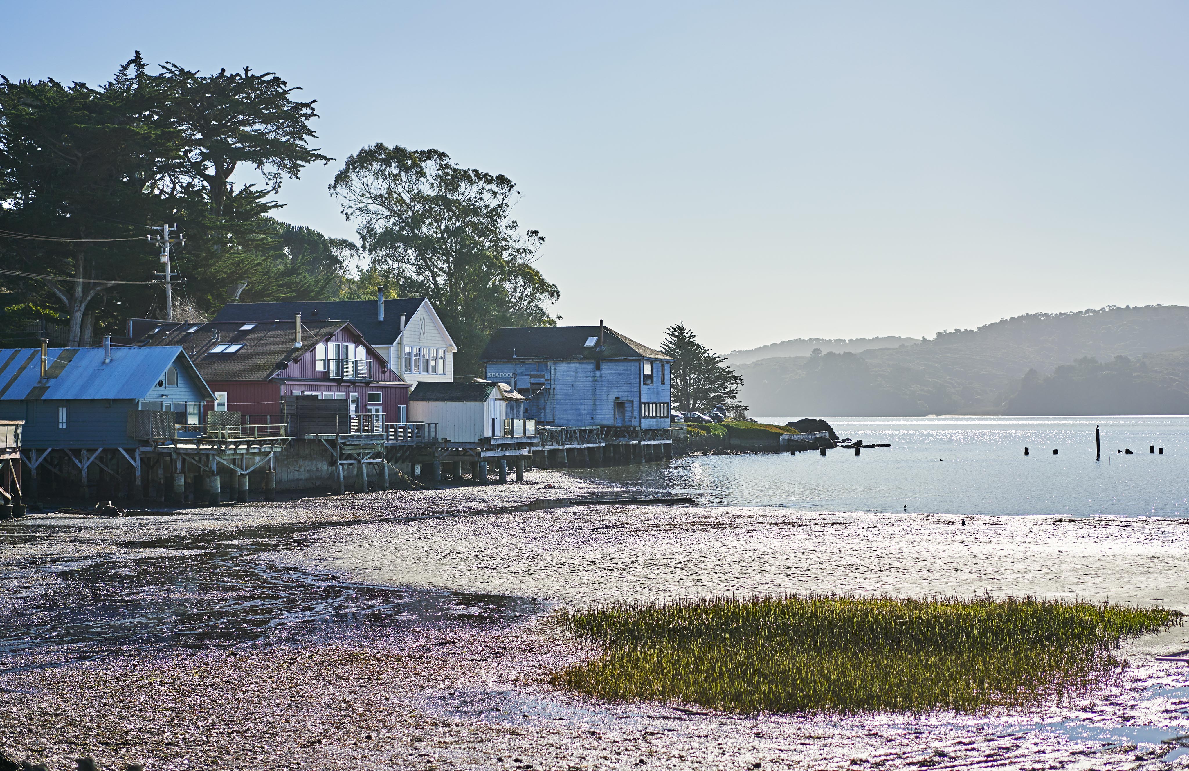 Waterside houses on stilts line a calm shoreline, with greenery and hills in the background. The tide is low, exposing plants and wet sand in the foreground under a clear sky.