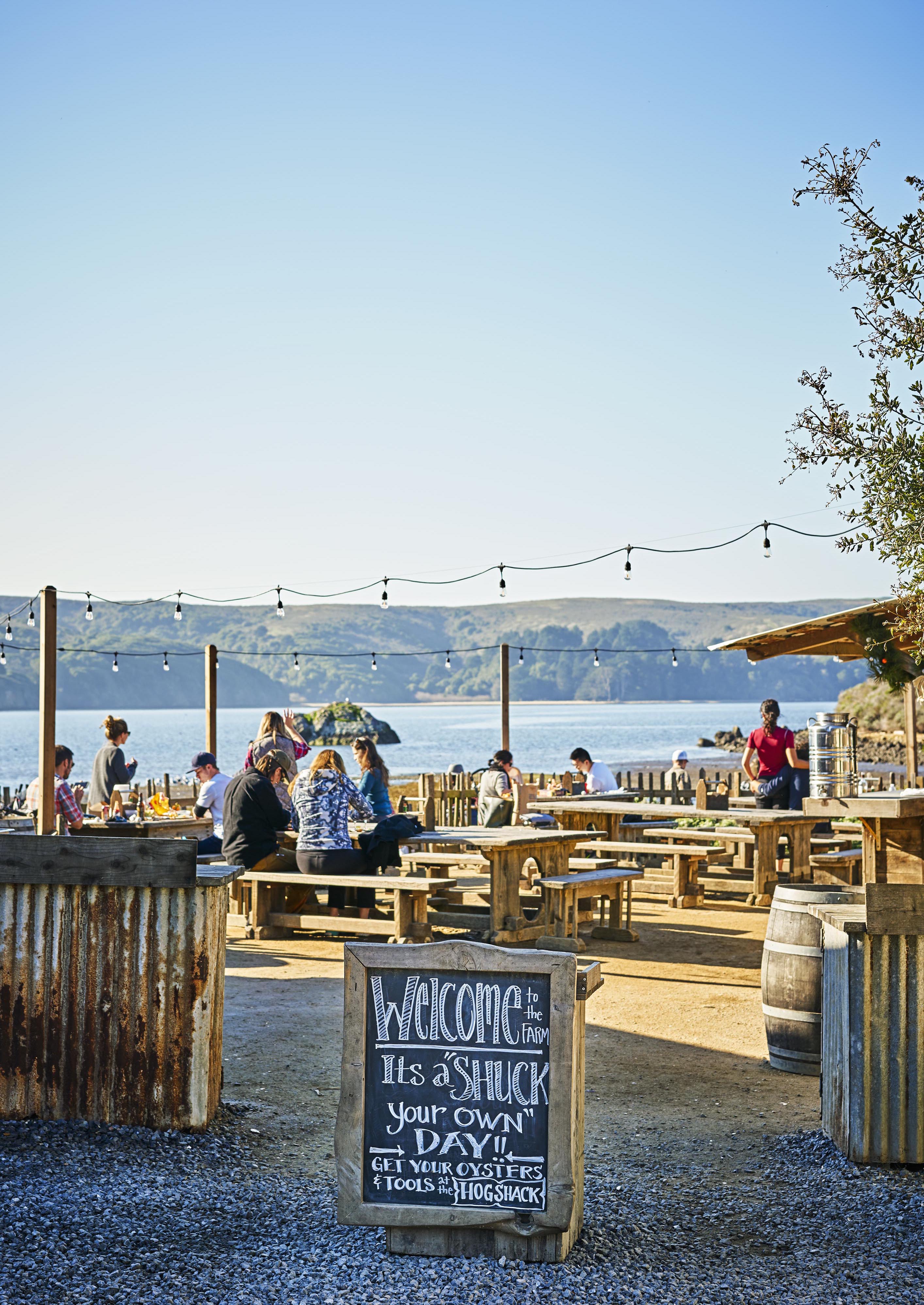Outdoor restaurant seating area overlooking a scenic Sonoma County lake, featuring a chalkboard sign, rustic wooden dining tables and several people dining. The weather is sunny and clear.