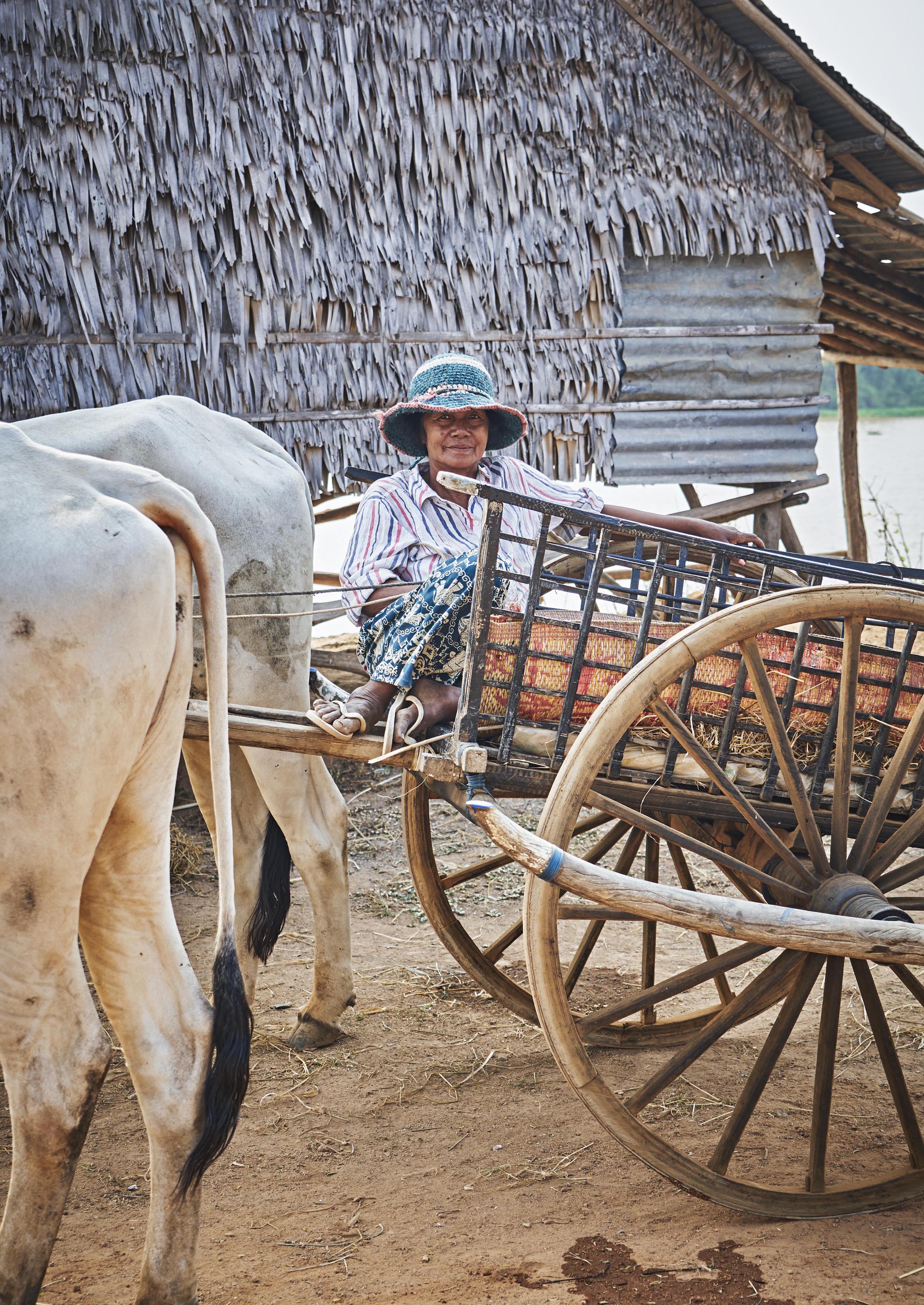 An elderly person sits in a wooden cart pulled by an ox, near a thatched building, on a dirt path.