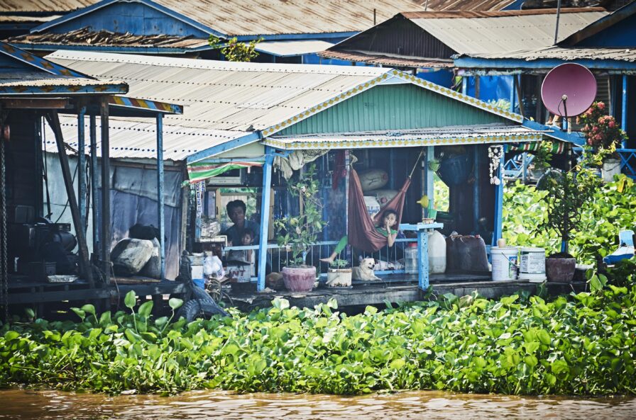 A person rests in a hammock on the porch of a house built on stilts by the water, surrounded by greenery and plants.