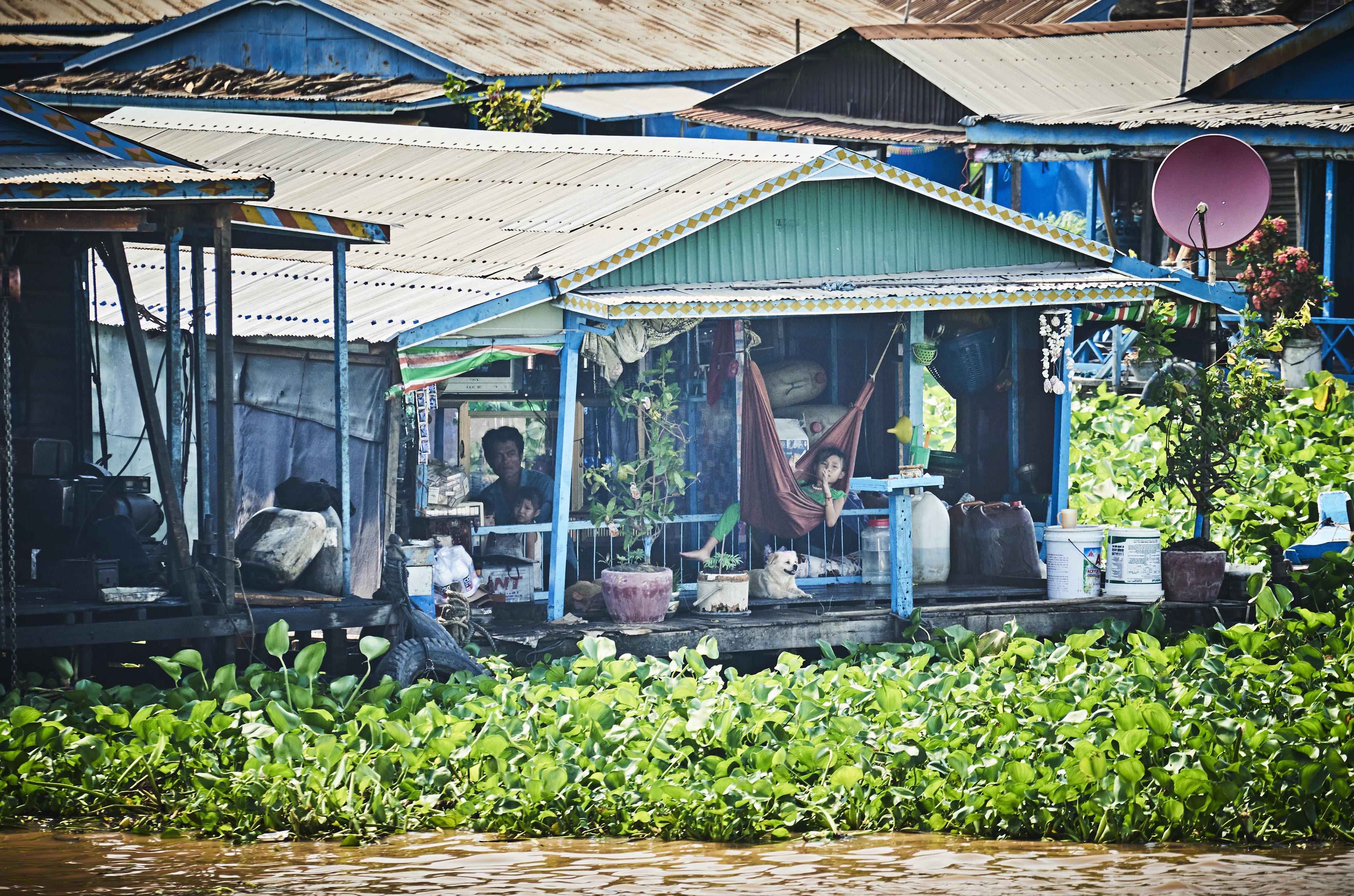 A person rests in a hammock on the porch of a house built on stilts by the water, surrounded by greenery and plants.