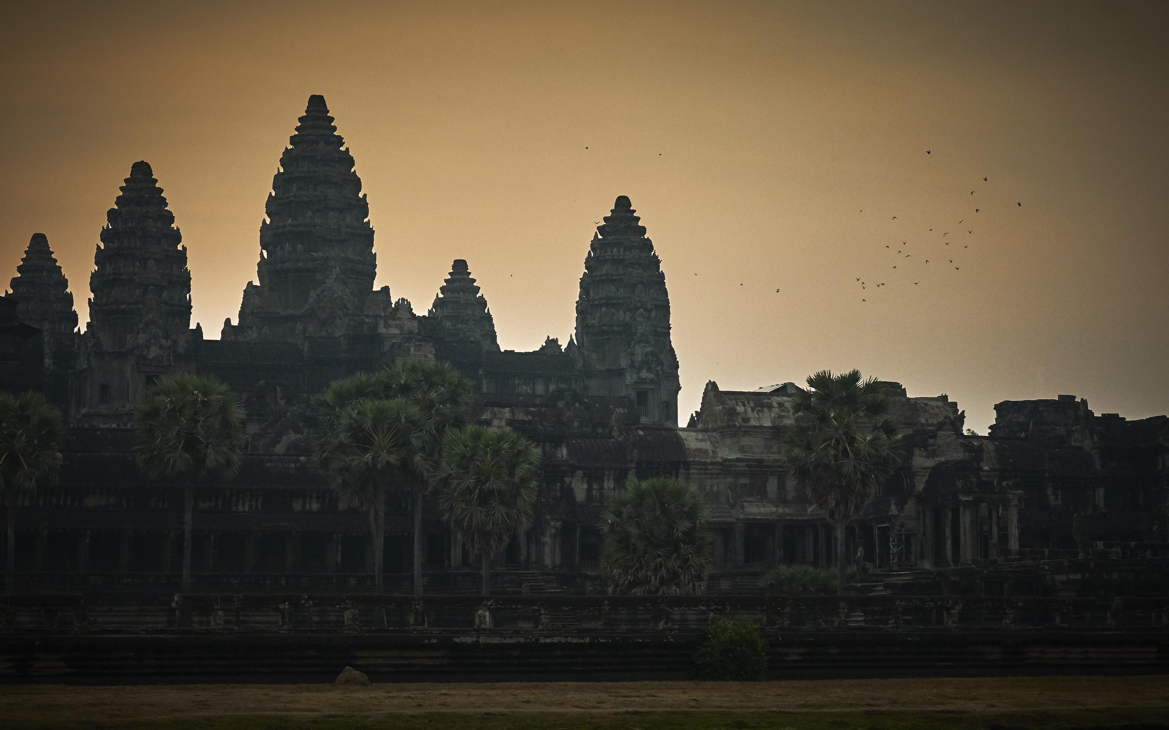Silhouette of Angkor Wat temple's spires at dusk, with palm trees in the foreground and a group of birds flying in the sky.