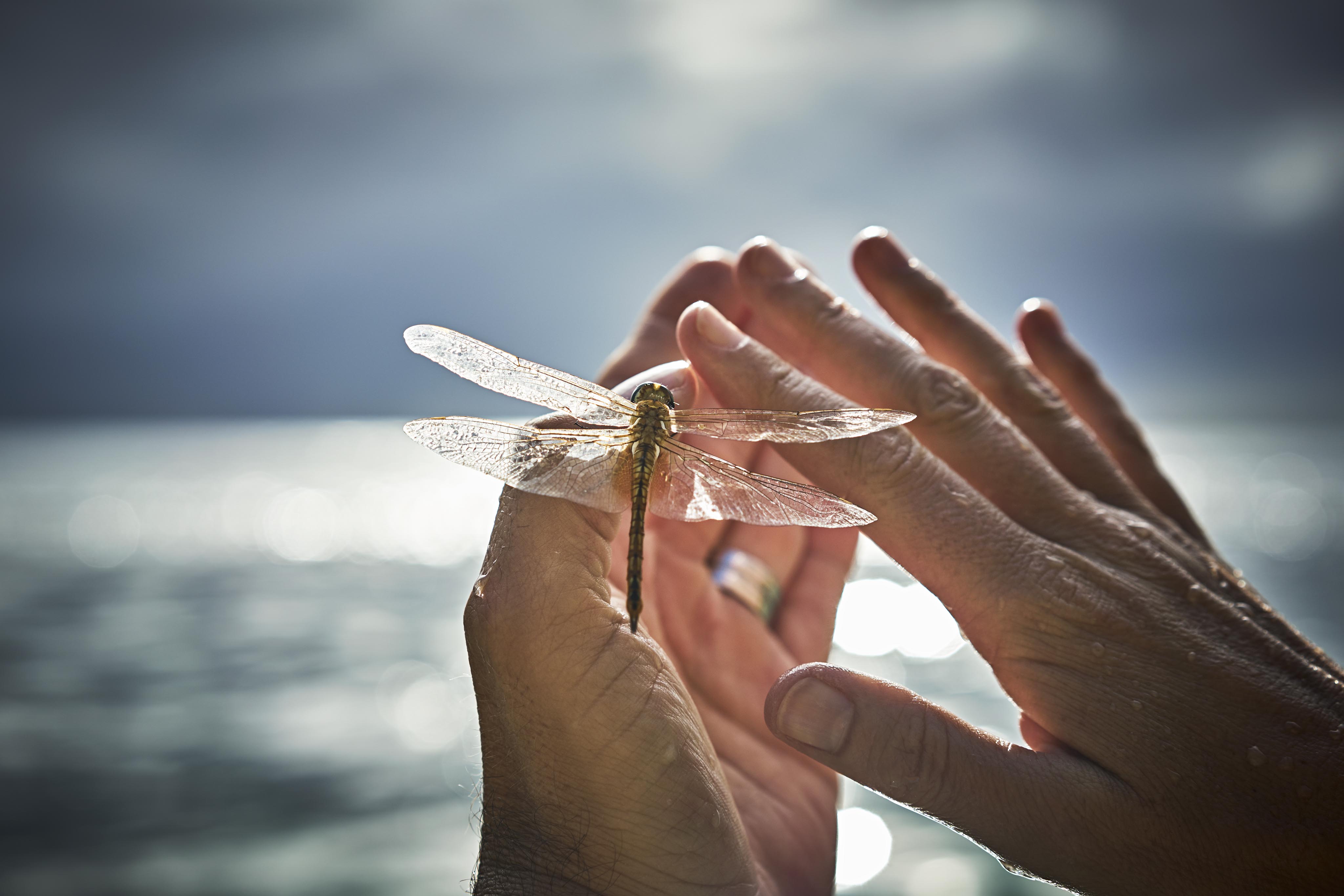 hawaii-hotel-photography