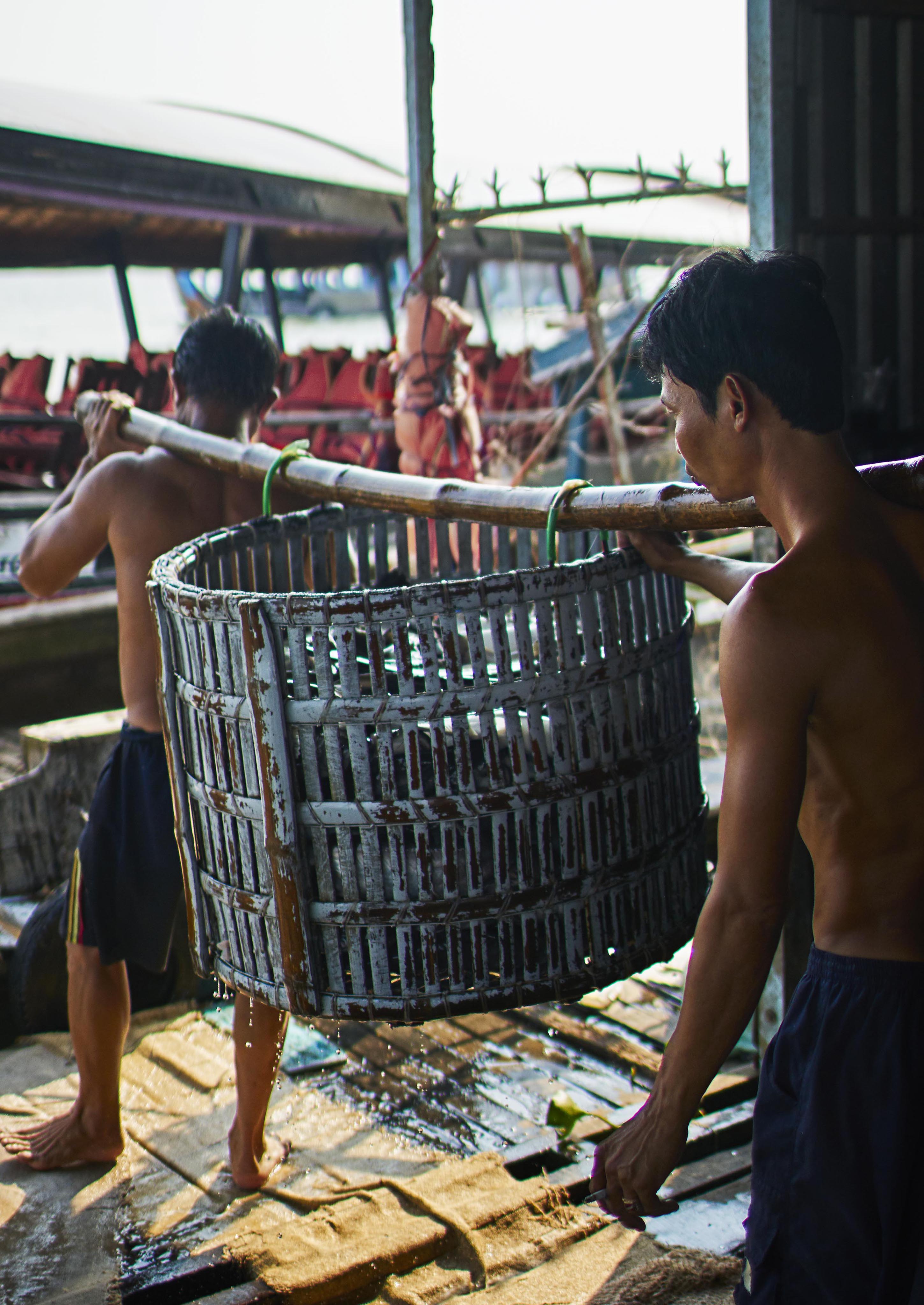 Two men carry a large, wet, wicker basket on a pole, beside a dock with boats in the background.