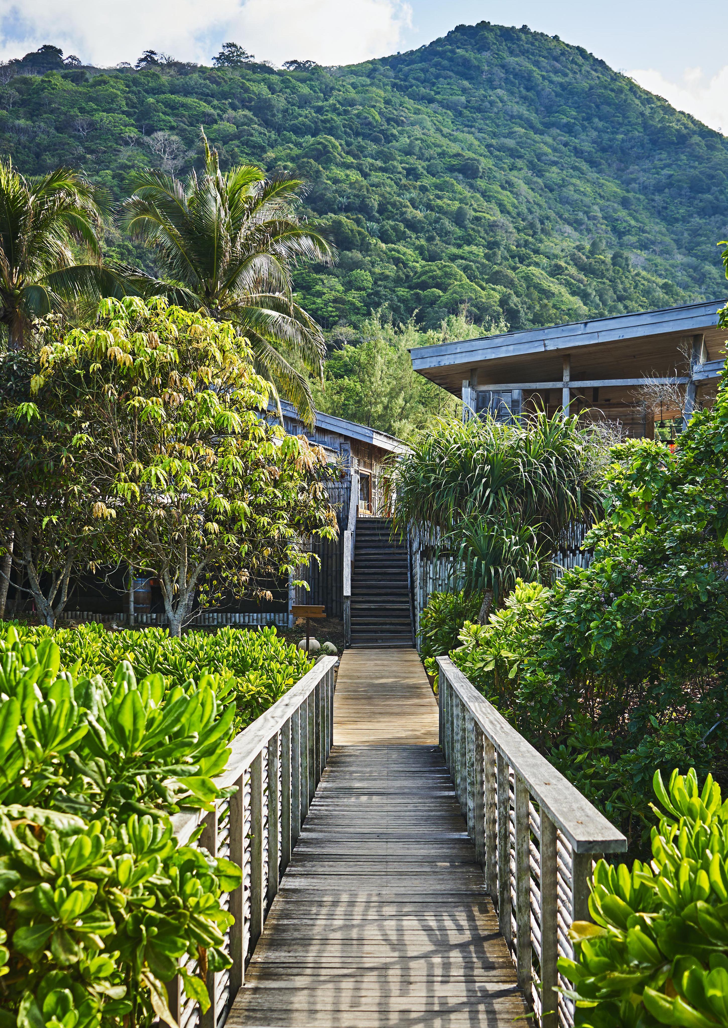 A wooden walkway leads through lush greenery toward a building, with a densely forested mountain in the background.