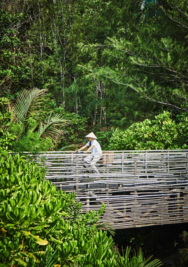 Person wearing a conical hat rides a bicycle on a wooden bridge surrounded by lush green foliage.