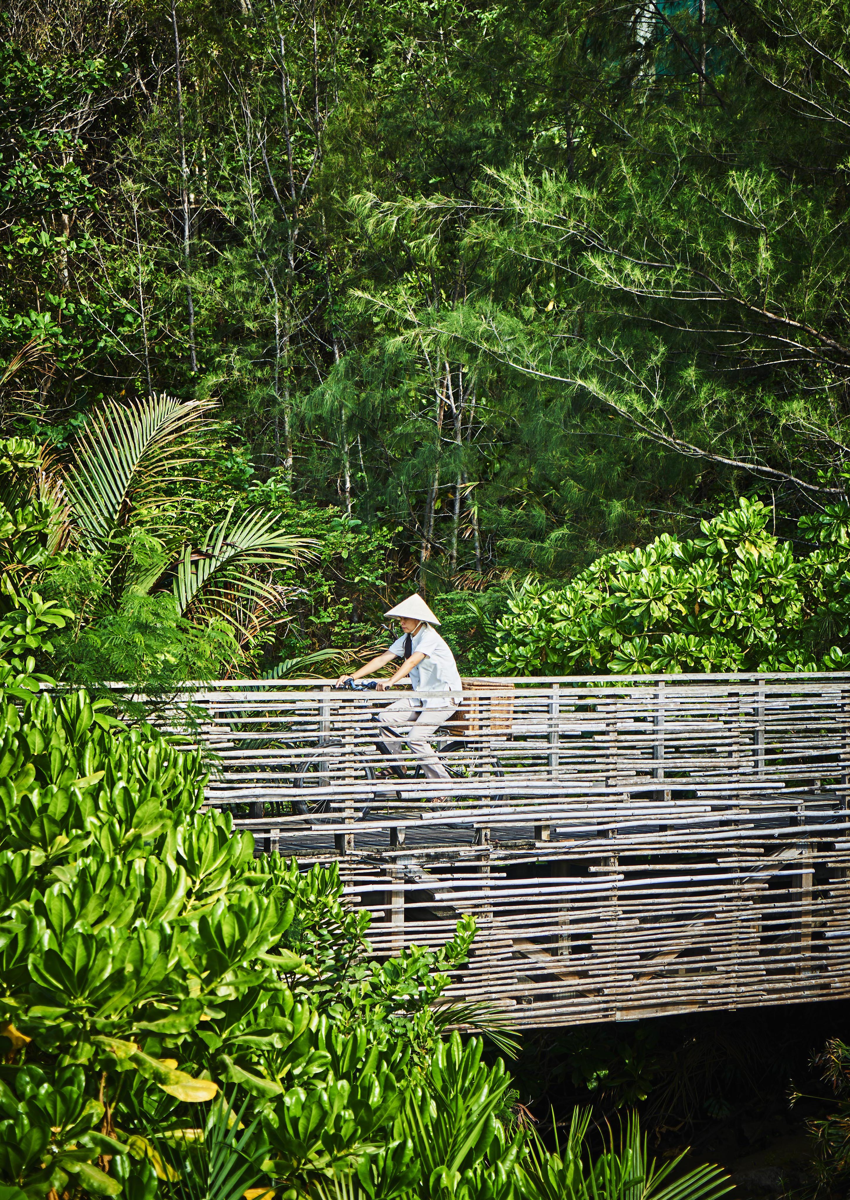 Person wearing a conical hat rides a bicycle on a wooden bridge surrounded by lush green foliage.