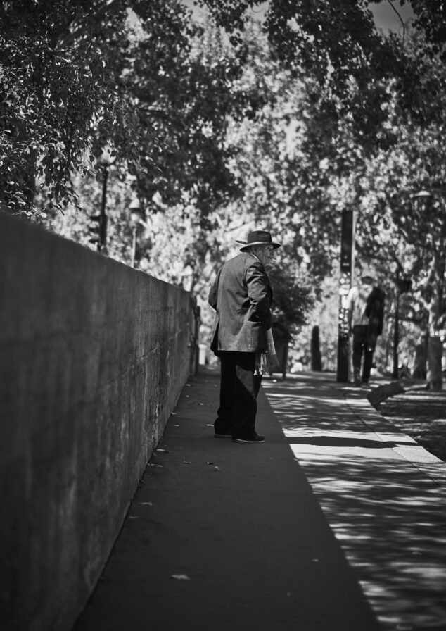 A person wearing a hat and a coat walks alone on a sun-dappled path lined with trees and a concrete wall.