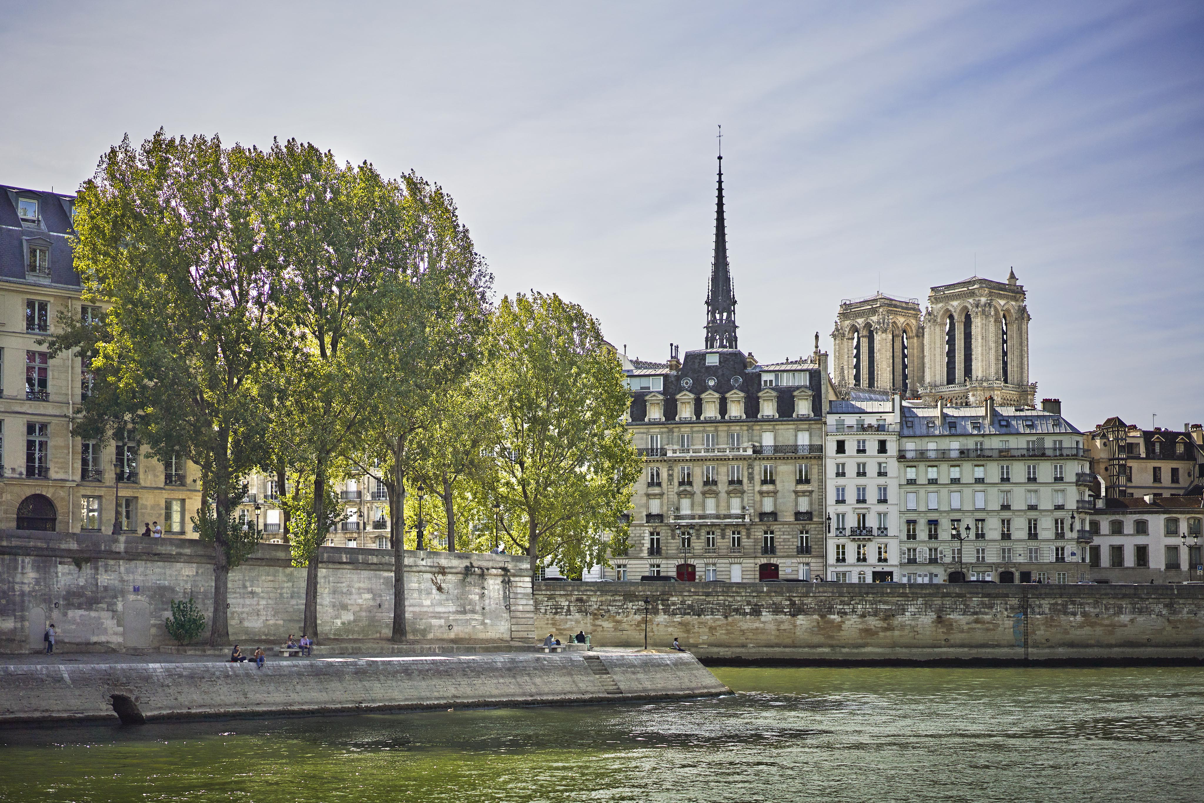 View of the Seine River with trees and historic buildings, including Notre-Dame Cathedral, under a clear sky in Paris.