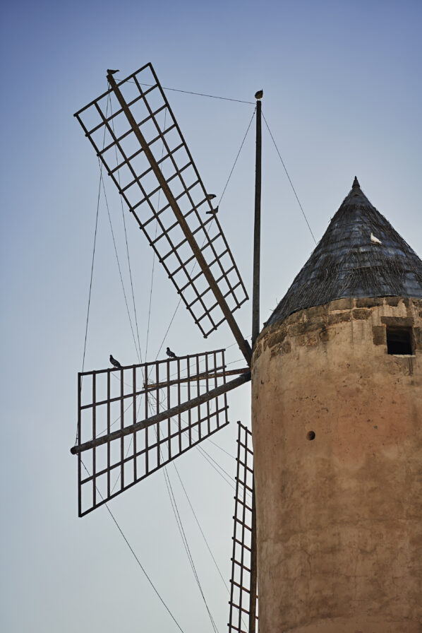 A traditional windmill with grid-like sails and a conical roof stands against a clear blue sky. Birds perch on the sails.