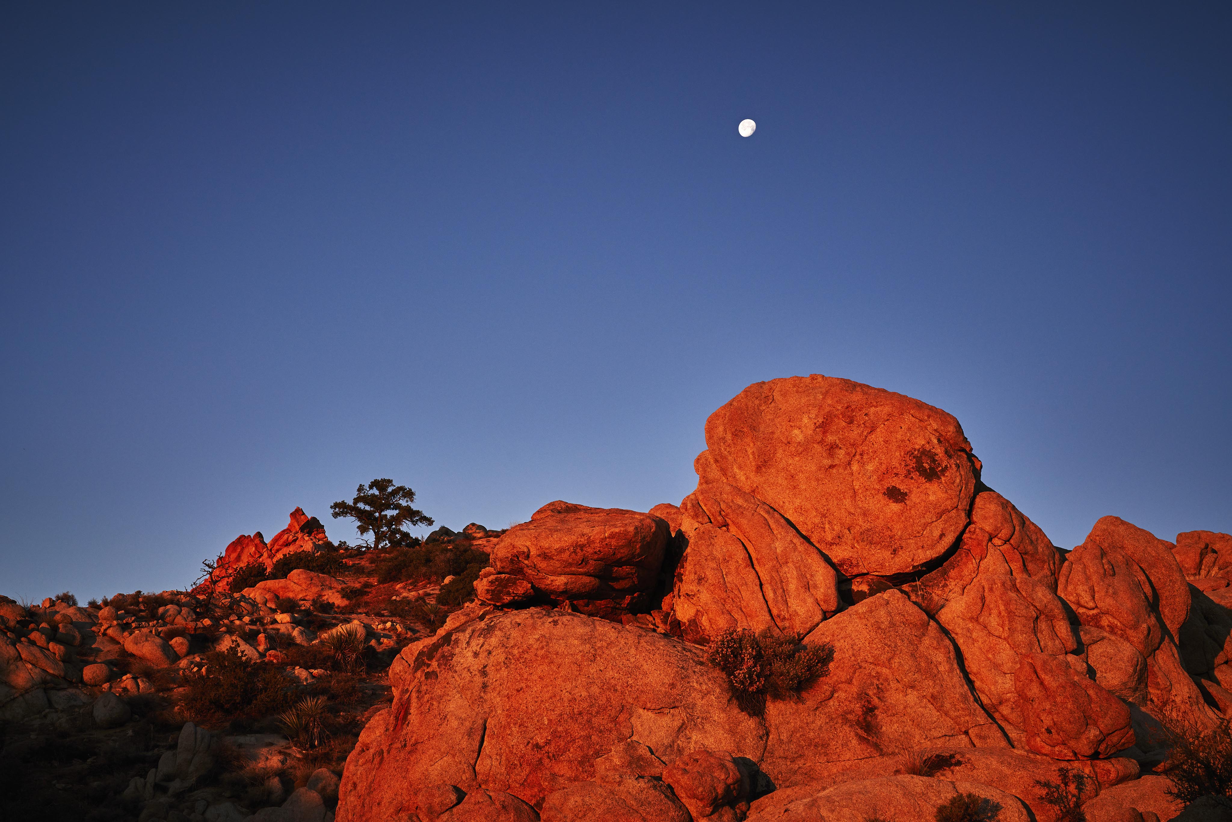 A rocky landscape at sunset with large boulders illuminated in red hues. A single tree is visible in the distance. The sky is clear, and a full moon hangs above.