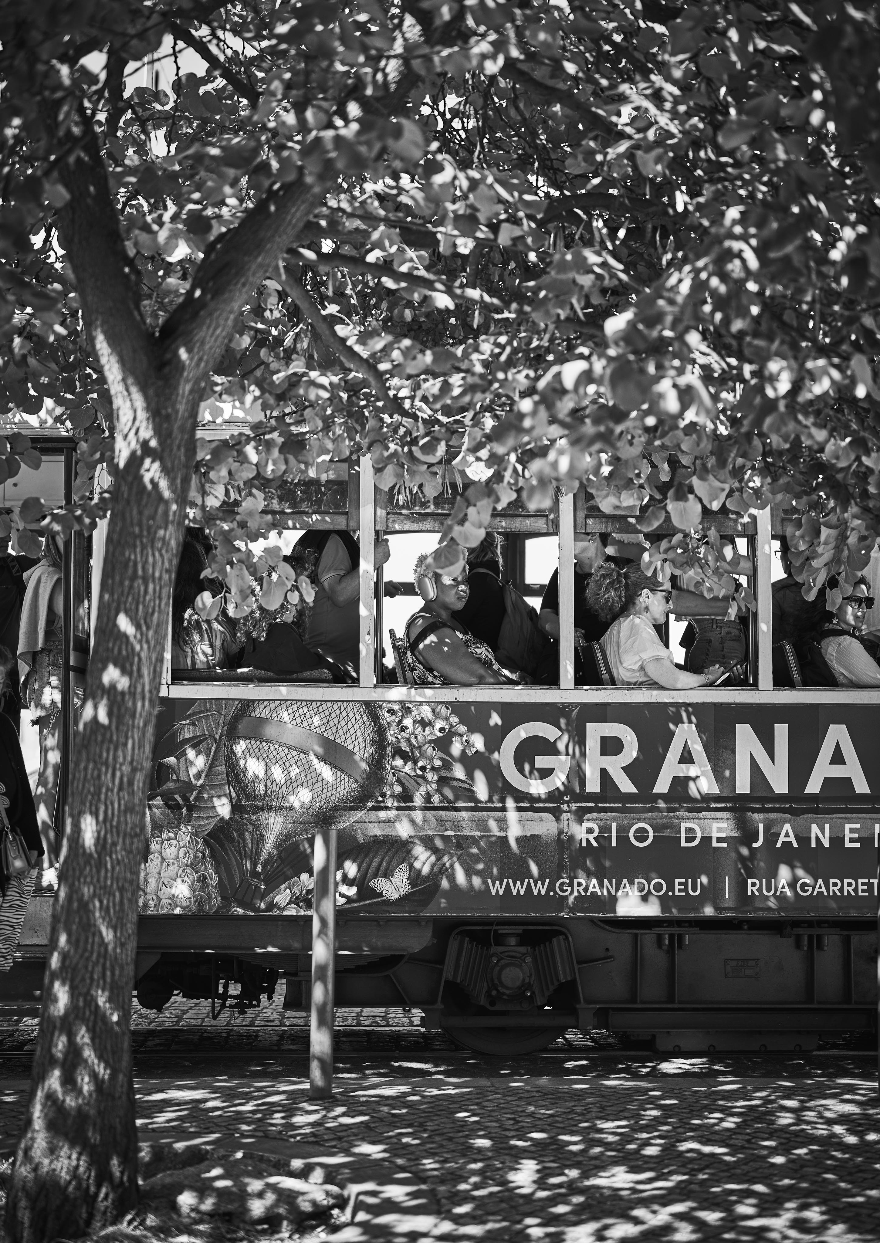 A side view of a cable car with passengers, partially obscured by tree branches and leaves. The words "Granado Rio de Janeiro" are visible on the side of the vehicle.