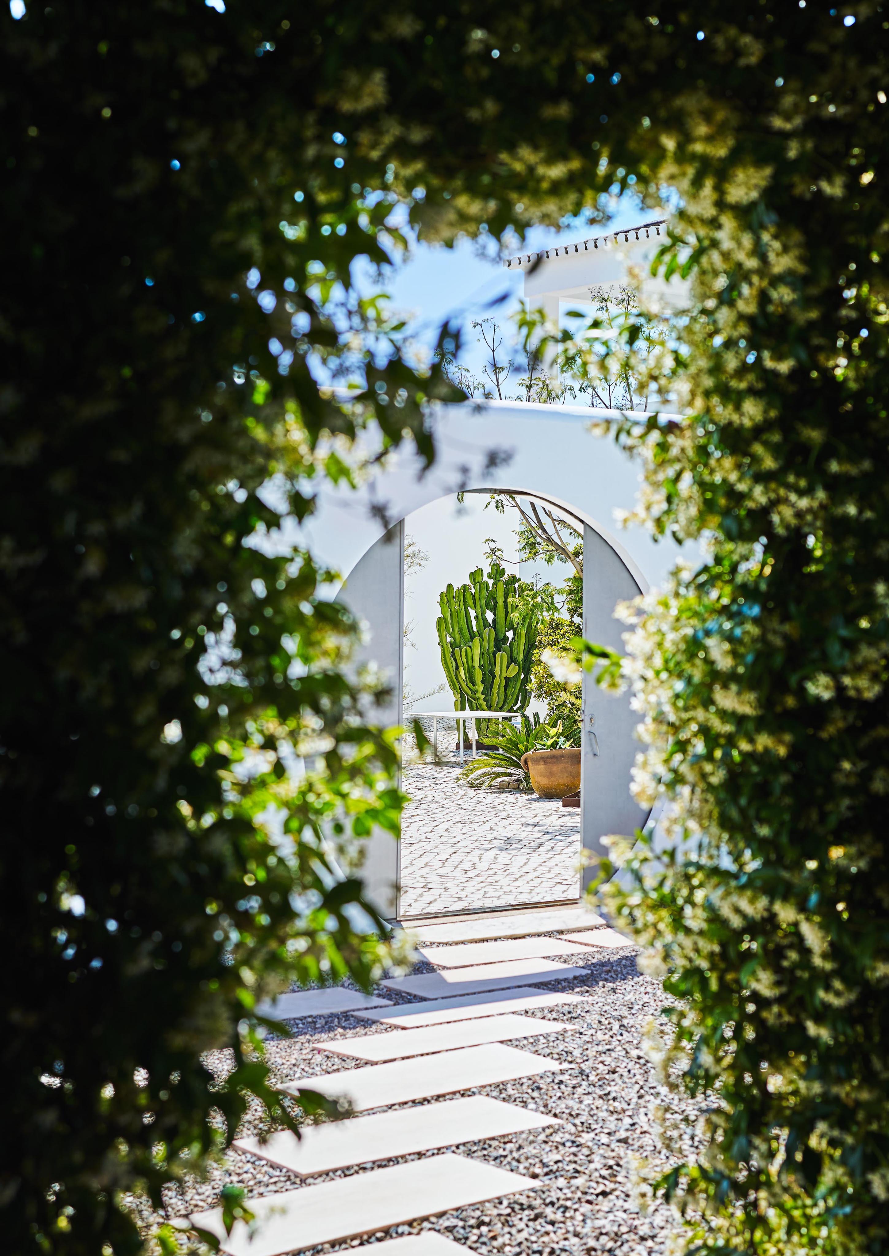 View through arched hedge opening to a courtyard with stone path, large cactus in a pot, and a sunlit white wall and building.