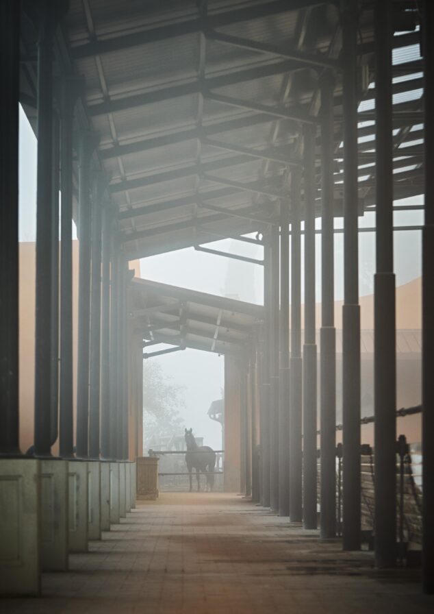A horse stands under a foggy covered walkway with metal beams and a tiled floor.