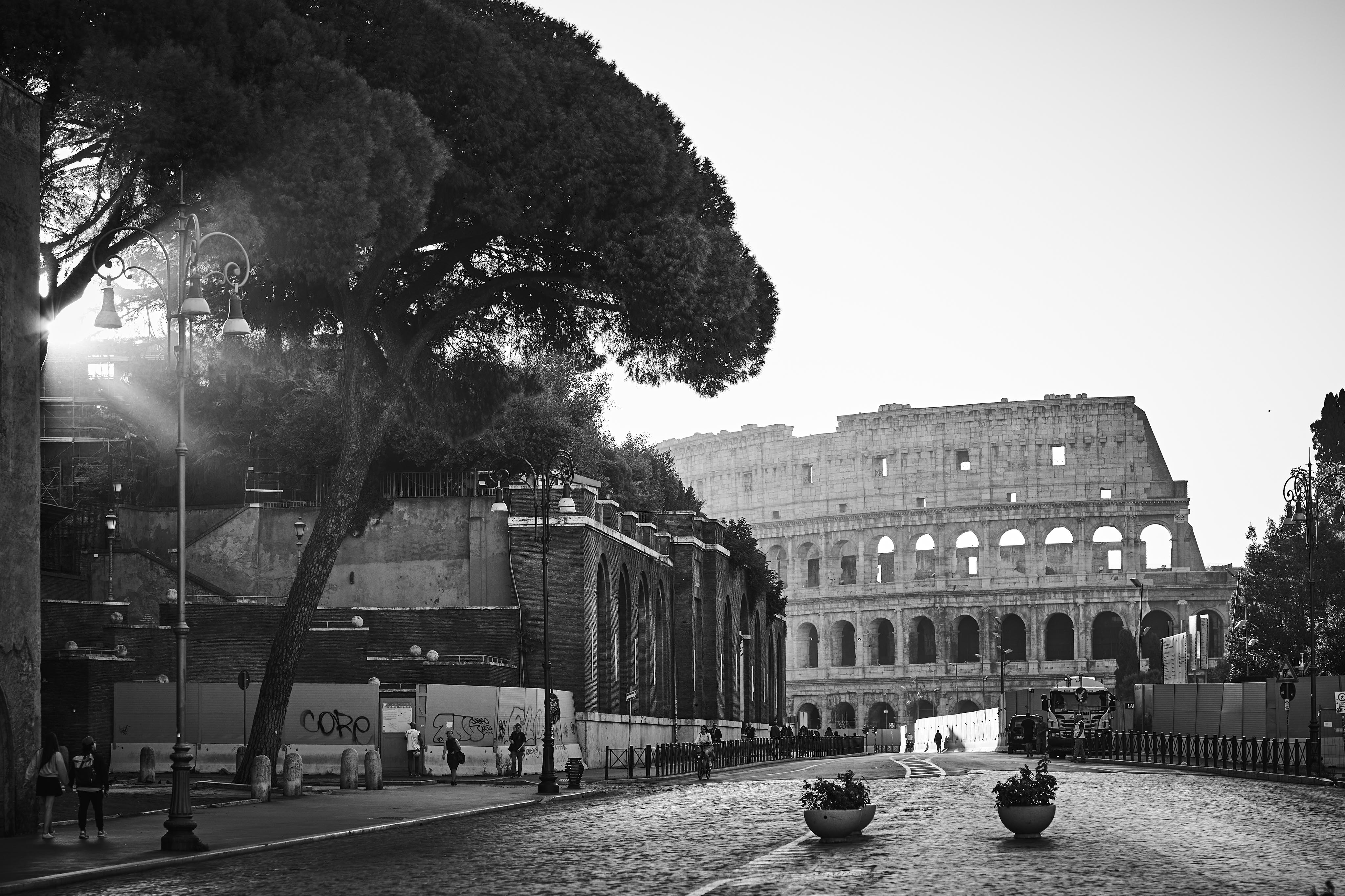 Black and white photo of the Colosseum in Rome. Sunlight streams through trees on the left, with a cobblestone road and scattered pedestrians in the foreground.