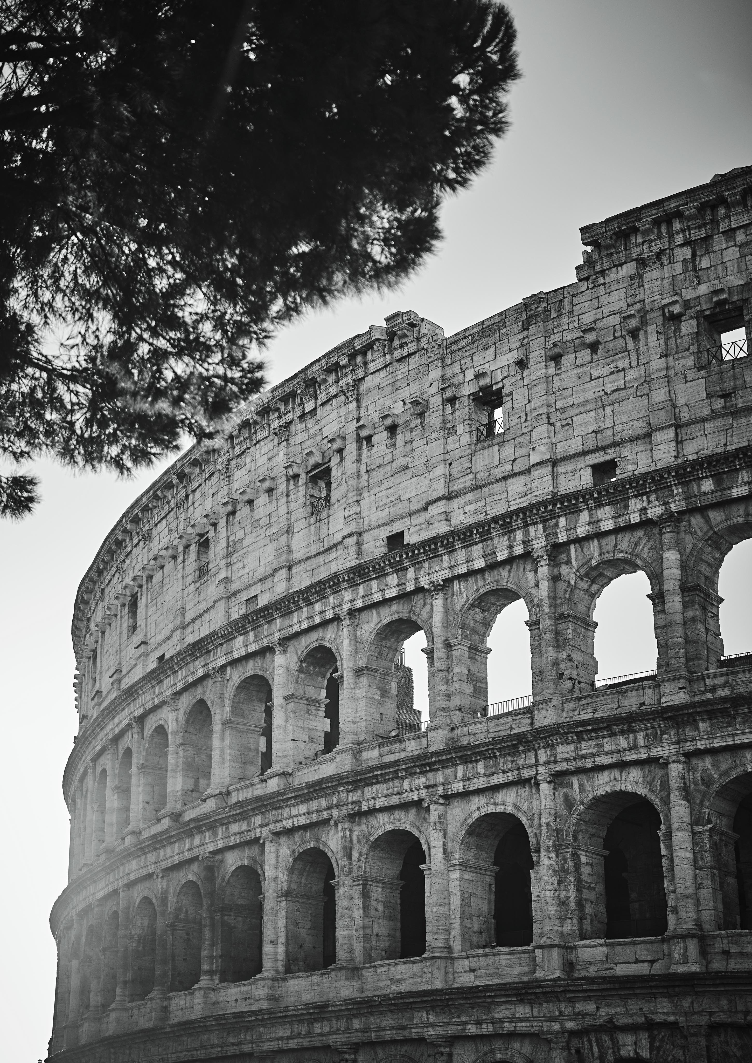 Black and white image of the Colosseum in Rome, partially obscured by a tree in the foreground.