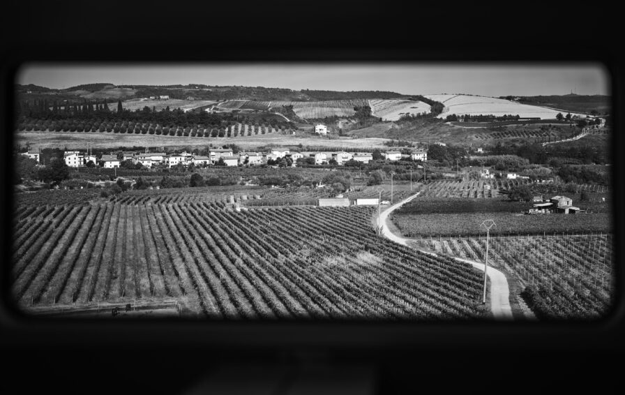 A black and white landscape view of sprawling vineyards with a distant village, framed by a car window.