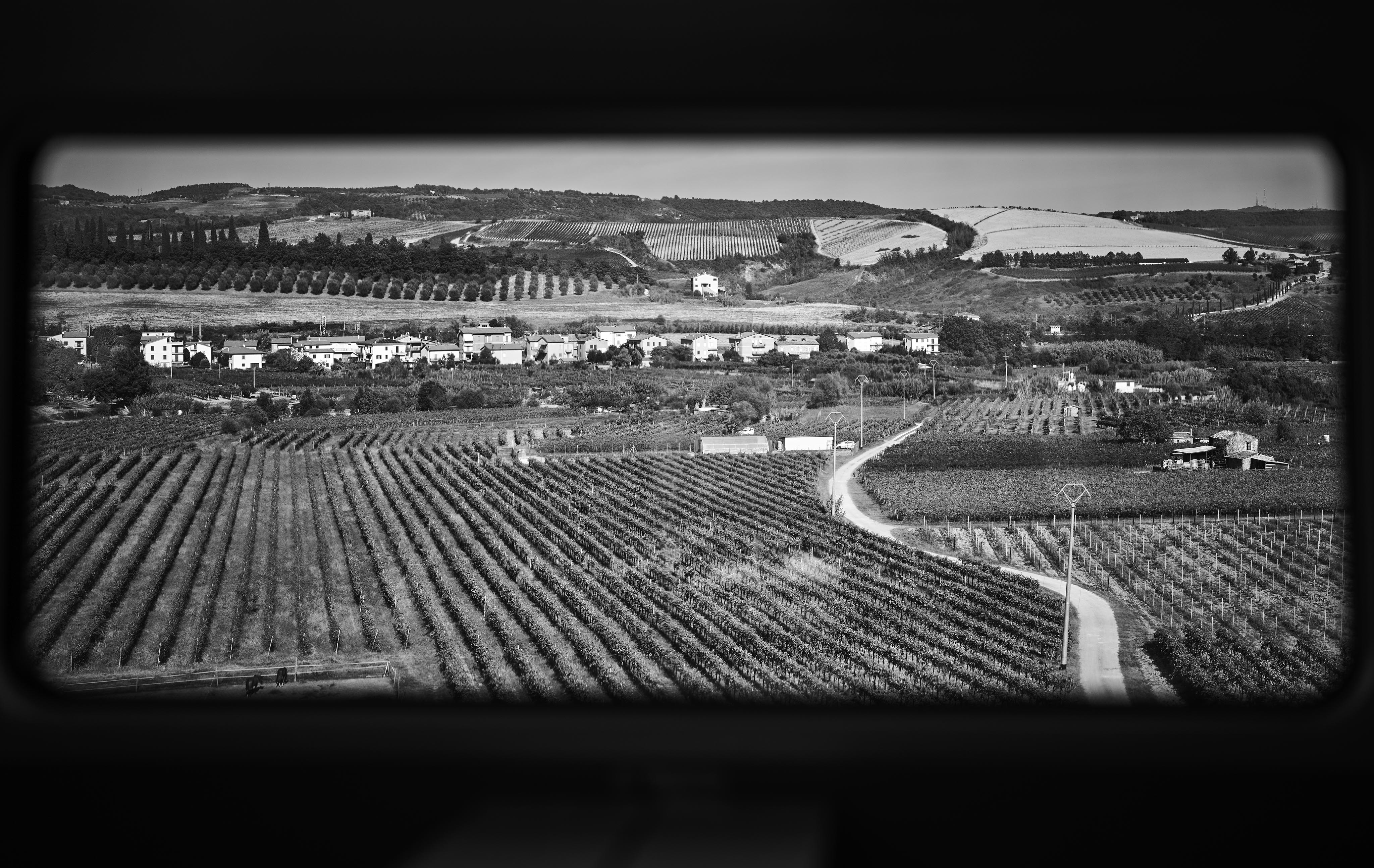 A black and white landscape view of sprawling vineyards with a distant village, framed by a car window.