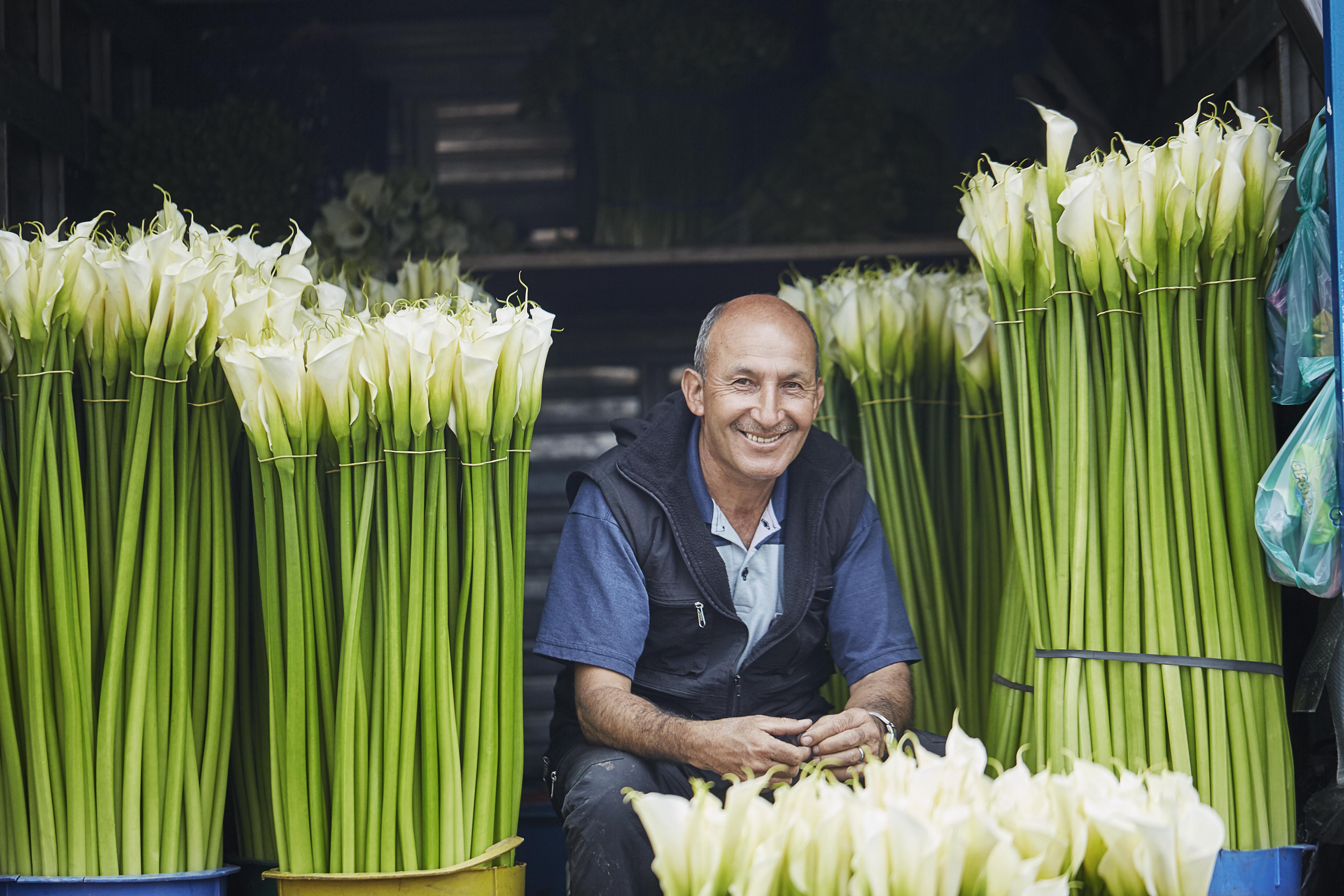 A local Bogota man smiling while sitting among tall, bundled white calla lilies in buckets, evoking the vibrant spirit of Central America.