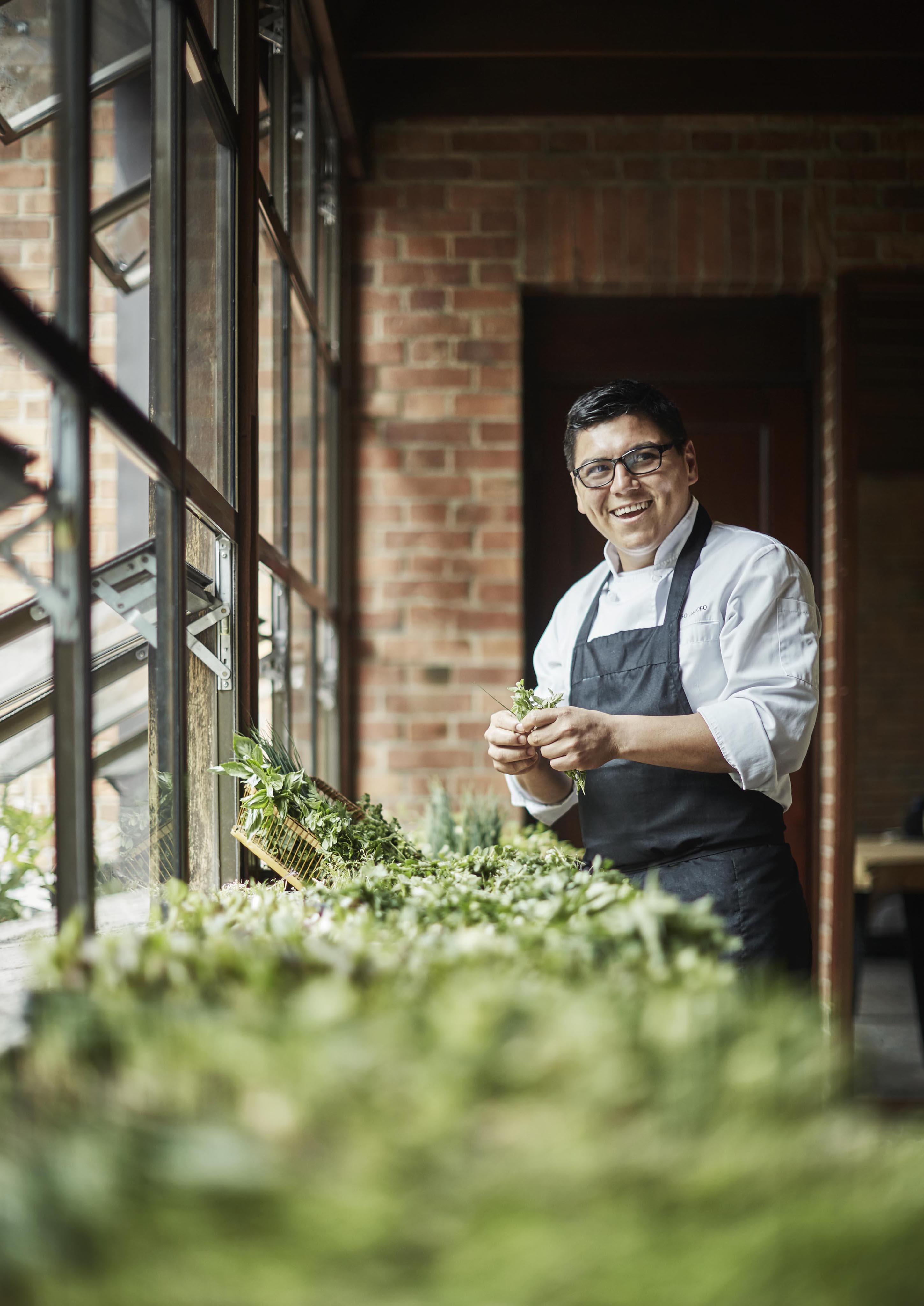 A Four Seasons Casa Medina chef in a white coat and black apron stands by a table with fresh herbs, evoking the rich culinary traditions of destination areas of Central and South America, near large windows in a brick-walled room, smiling as they hold vibrant greens.