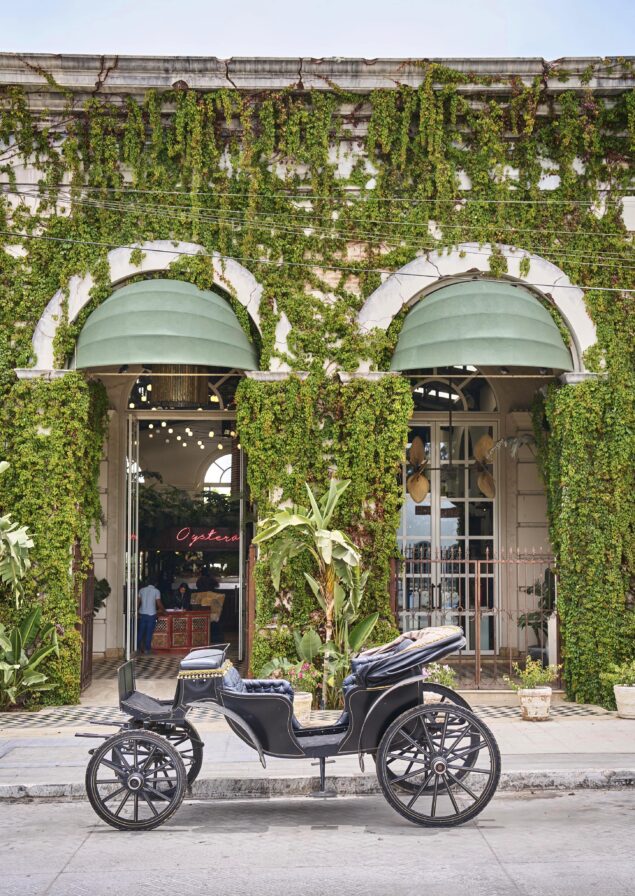 A vintage black carriage is parked on the street in front of a Todos Santos building covered with green ivy and arched windows.