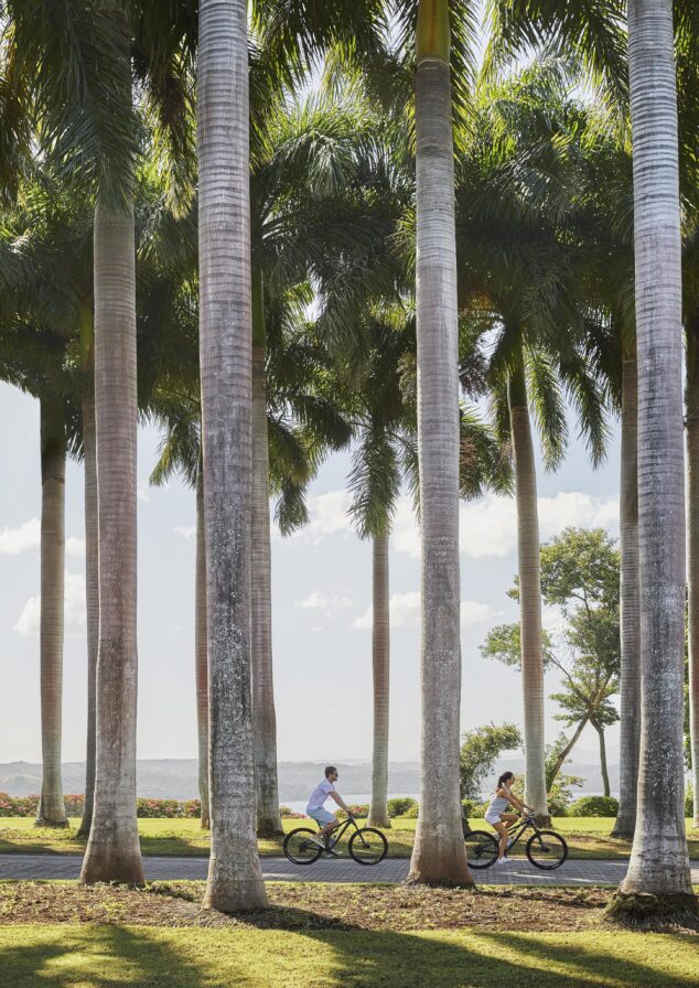 Two people ride bikes on a paved path lined with tall palm trees, reminiscent of scenic routes in Central America, with a clear sky and distant hills in the background.