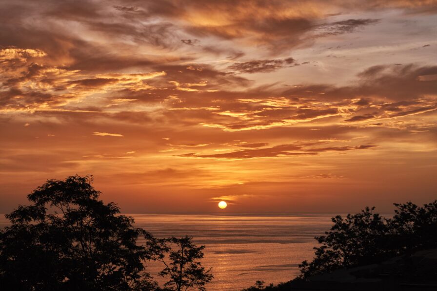 Sunset over a calm ocean, with the sun partially visible on the horizon. Silhouetted trees frame this enchanting scene, reminiscent of evenings in Central America, under a sky filled with orange and yellow clouds.