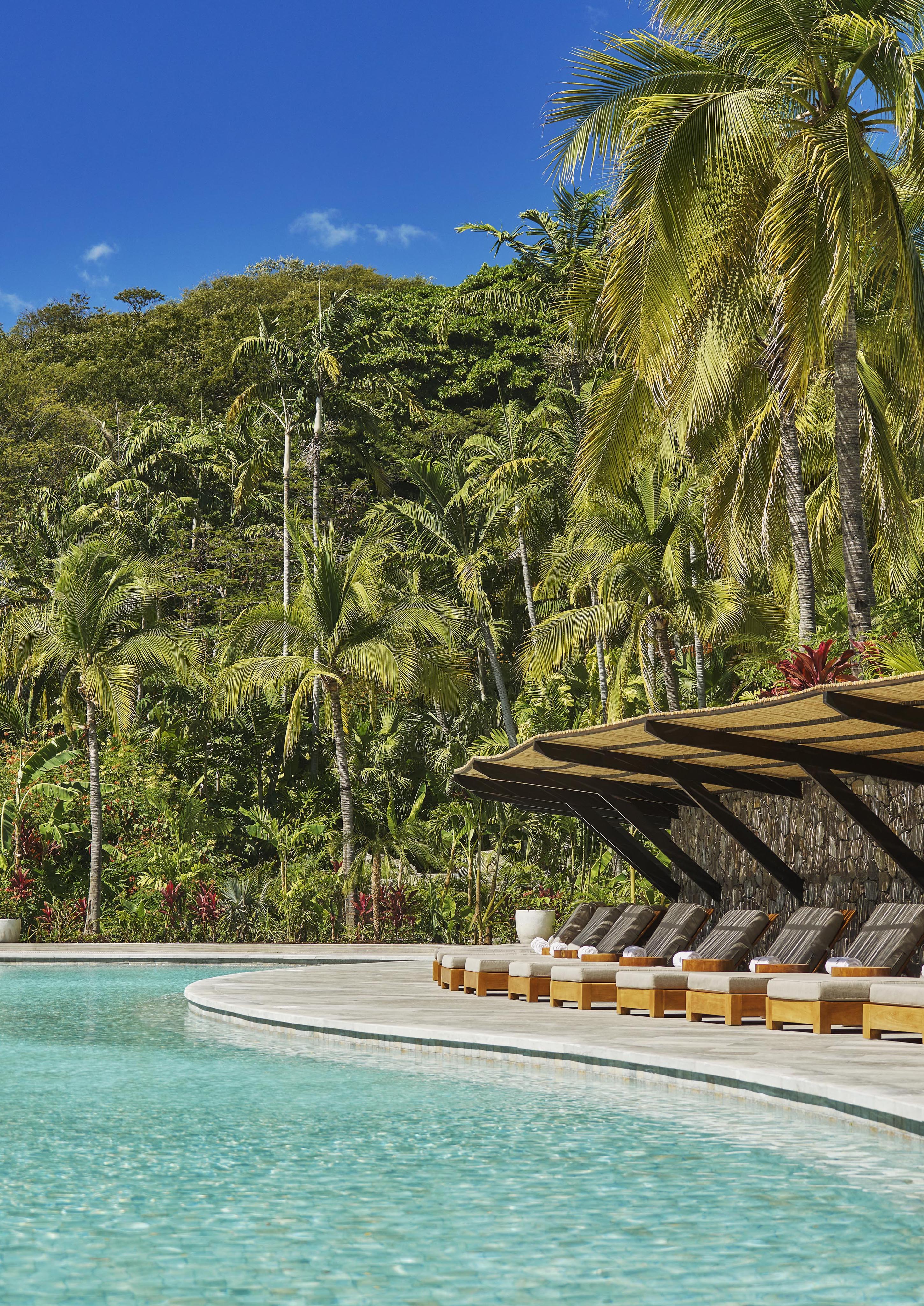 A serene outdoor swimming pool, reminiscent of a hidden oasis in Central America, is surrounded by palm trees and lush greenery under a clear blue sky. Sun loungers are perfectly lined up on the poolside, inviting relaxation amidst the tranquil beauty.