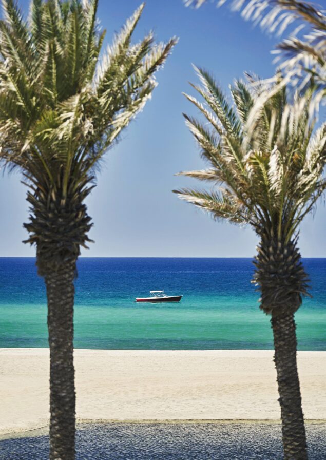 Fishing boat cruising on the lush blue green Los Cabos ocean - floating between two palm trees.