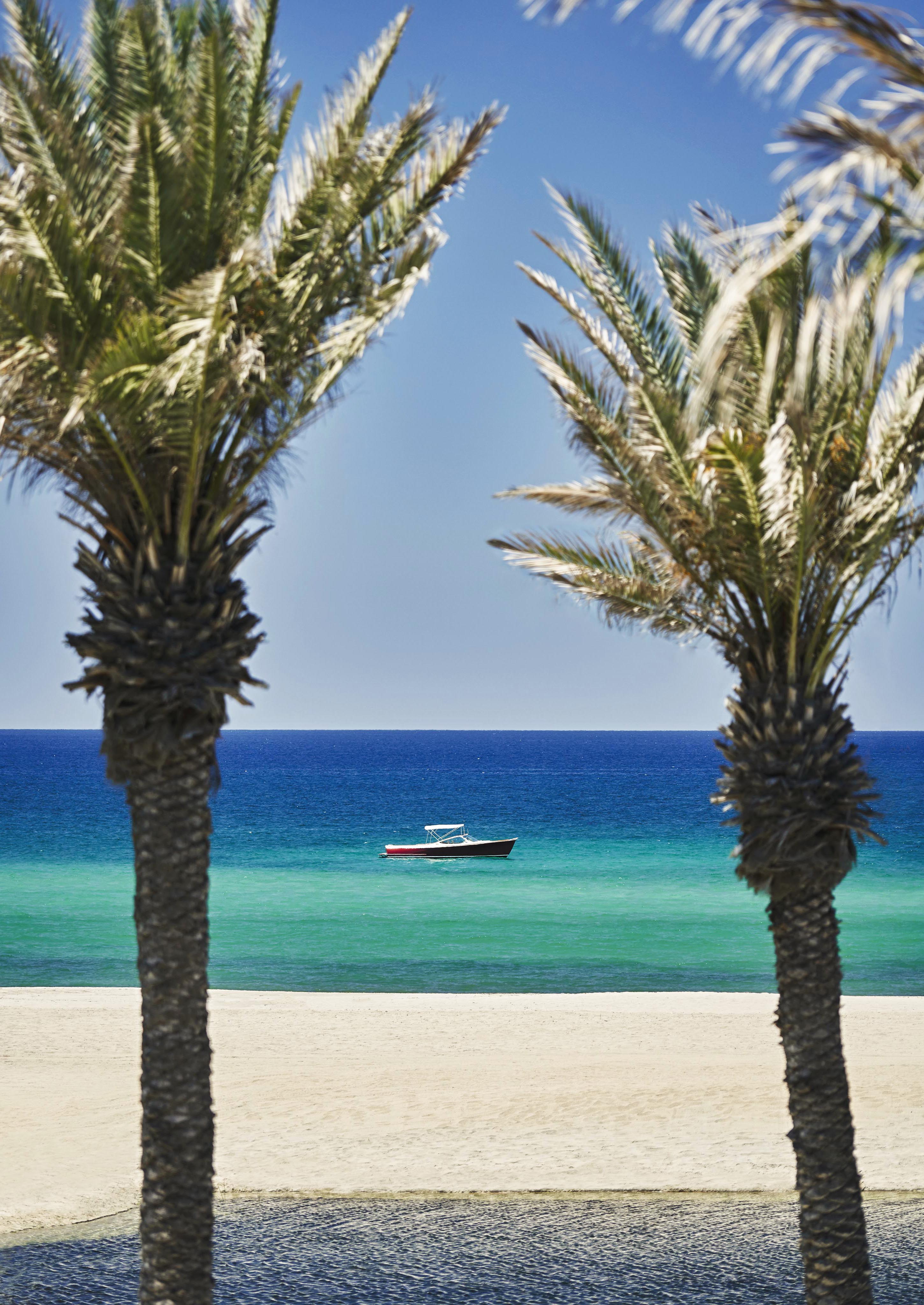 Fishing boat cruising on the lush blue green Los Cabos ocean - floating between two palm trees.
