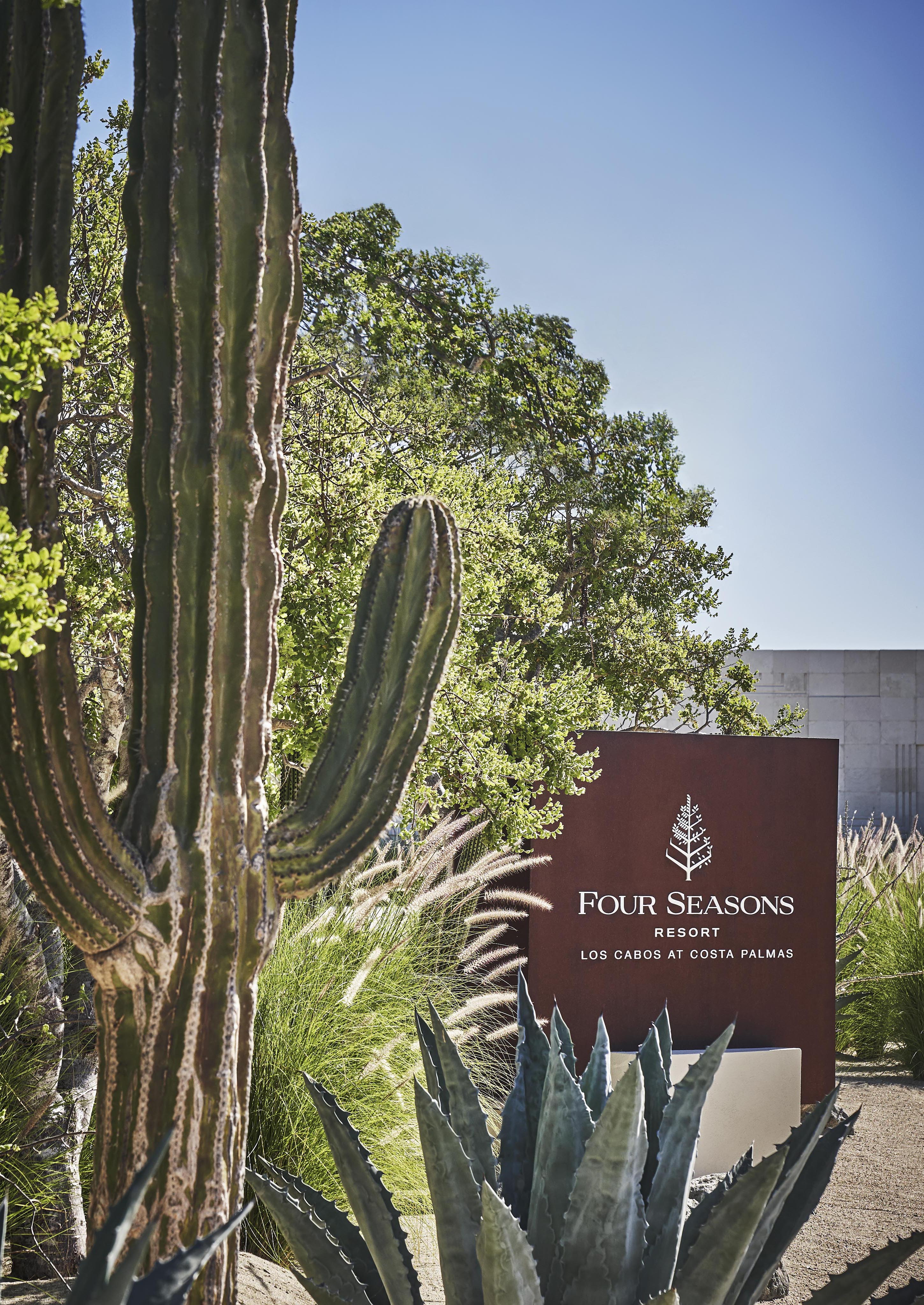 Four Seasons Los Cabos signage with desert plants surrounding.