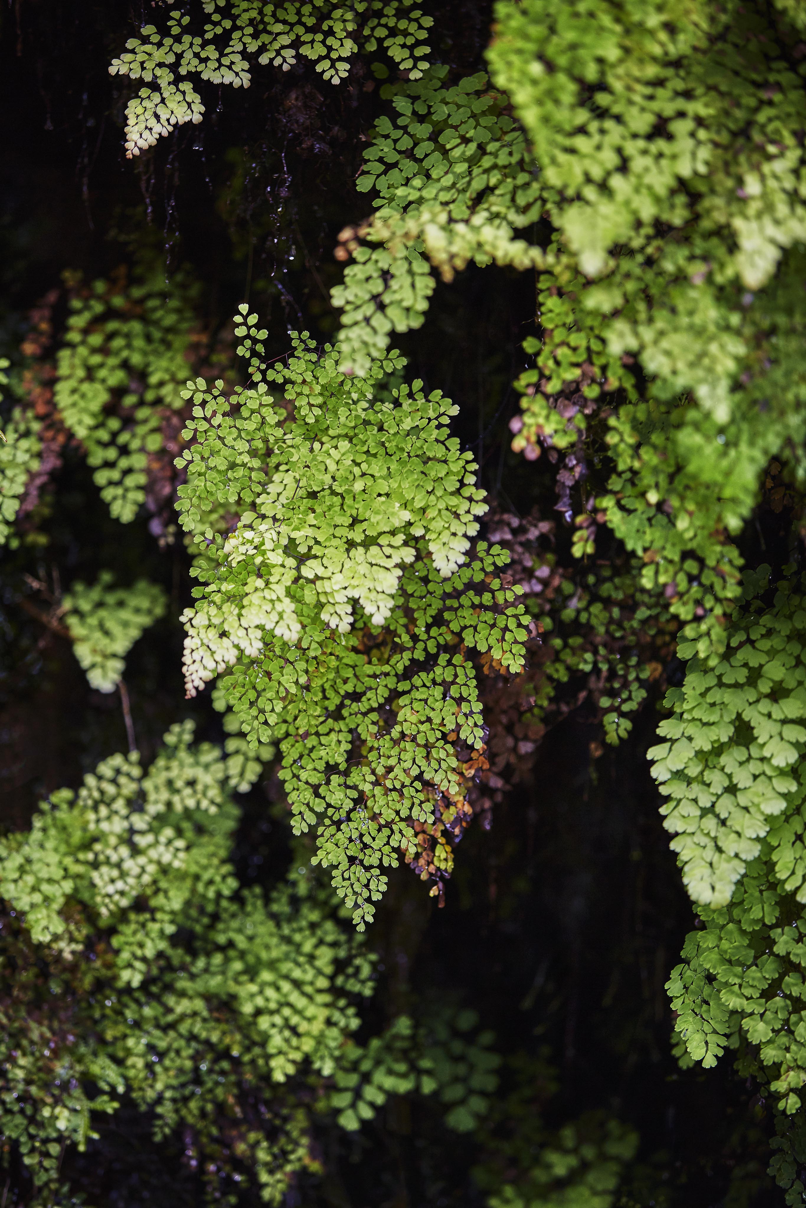 maui-exclusive-travel