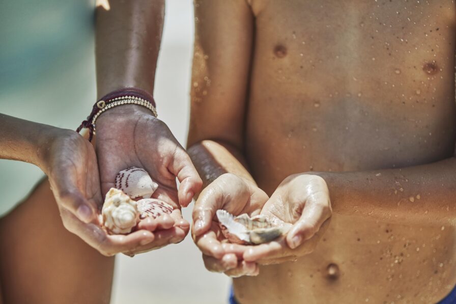 Two people holding seashells in their hands by the beach, with wet skin glistening in the sunlight.