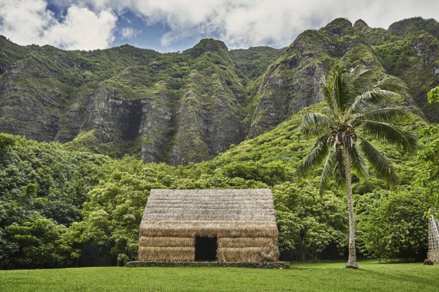 local-traveler-oahu-photography