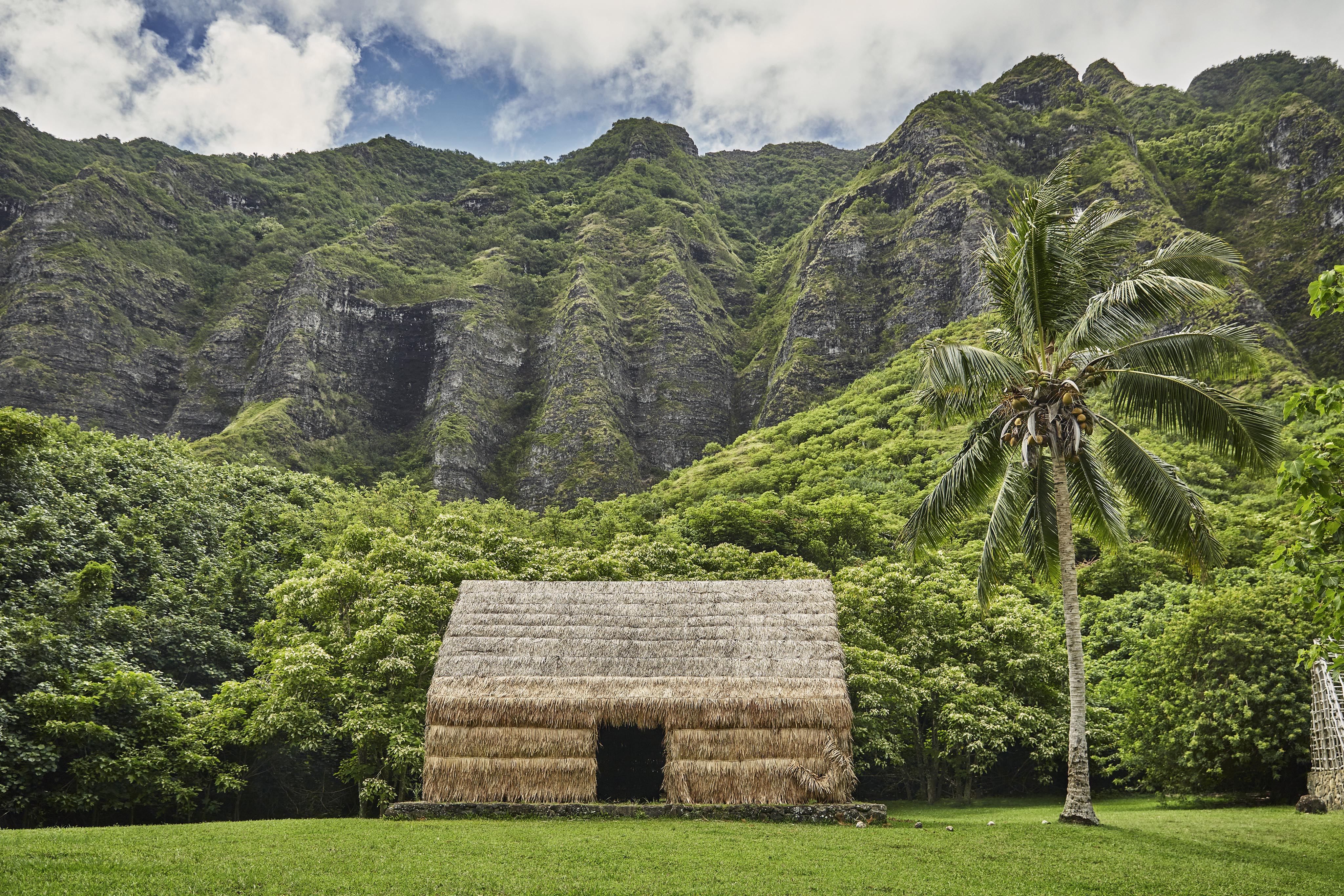 local-traveler-oahu-photography