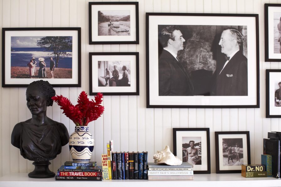 A white wall displays black and white framed photos, a bust, red flowers in a vase, seashell, and stacked books, including "The Travel Book" and "Dr. No.