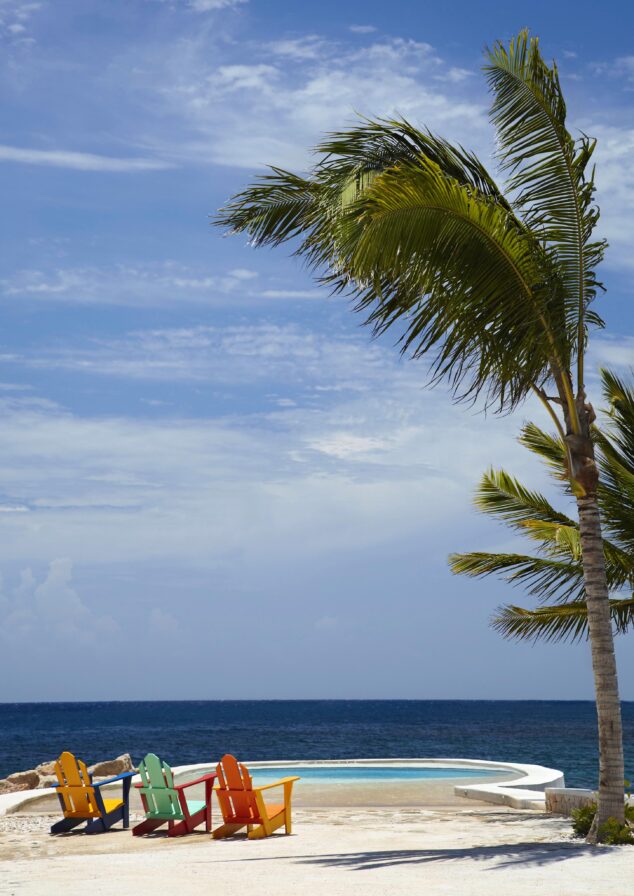 Four colorful chairs face the ocean near a curved pool under a clear blue sky, with a tall palm tree on the right.