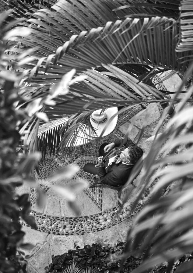 Black and white top down view, portrait of man seated at patio table within a courtyard playing guitar and surrounded by large palm fronds