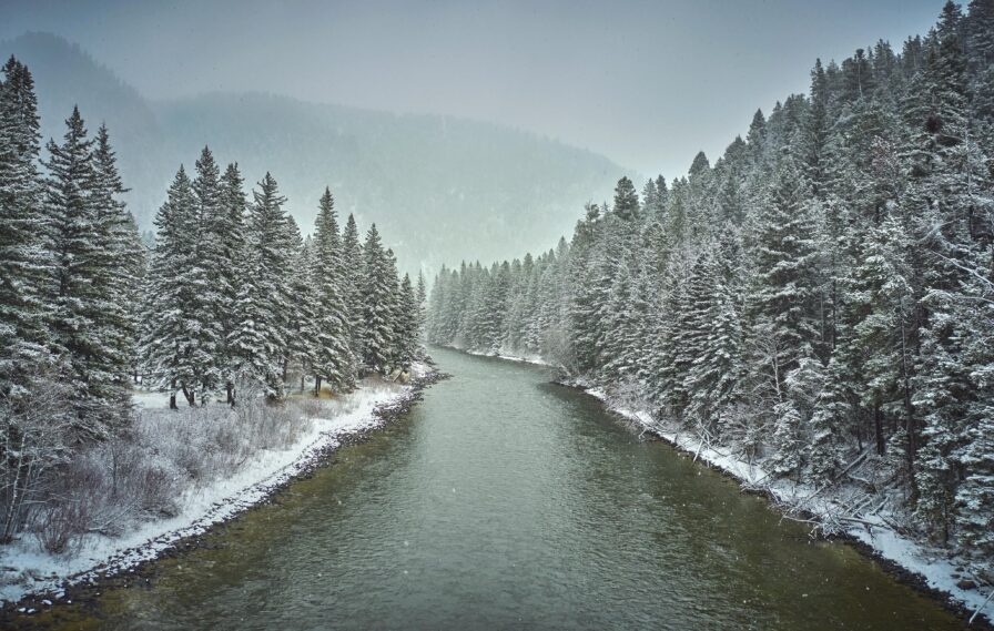 Gallatin river lined with snow dusted trees, distant mountain Montana