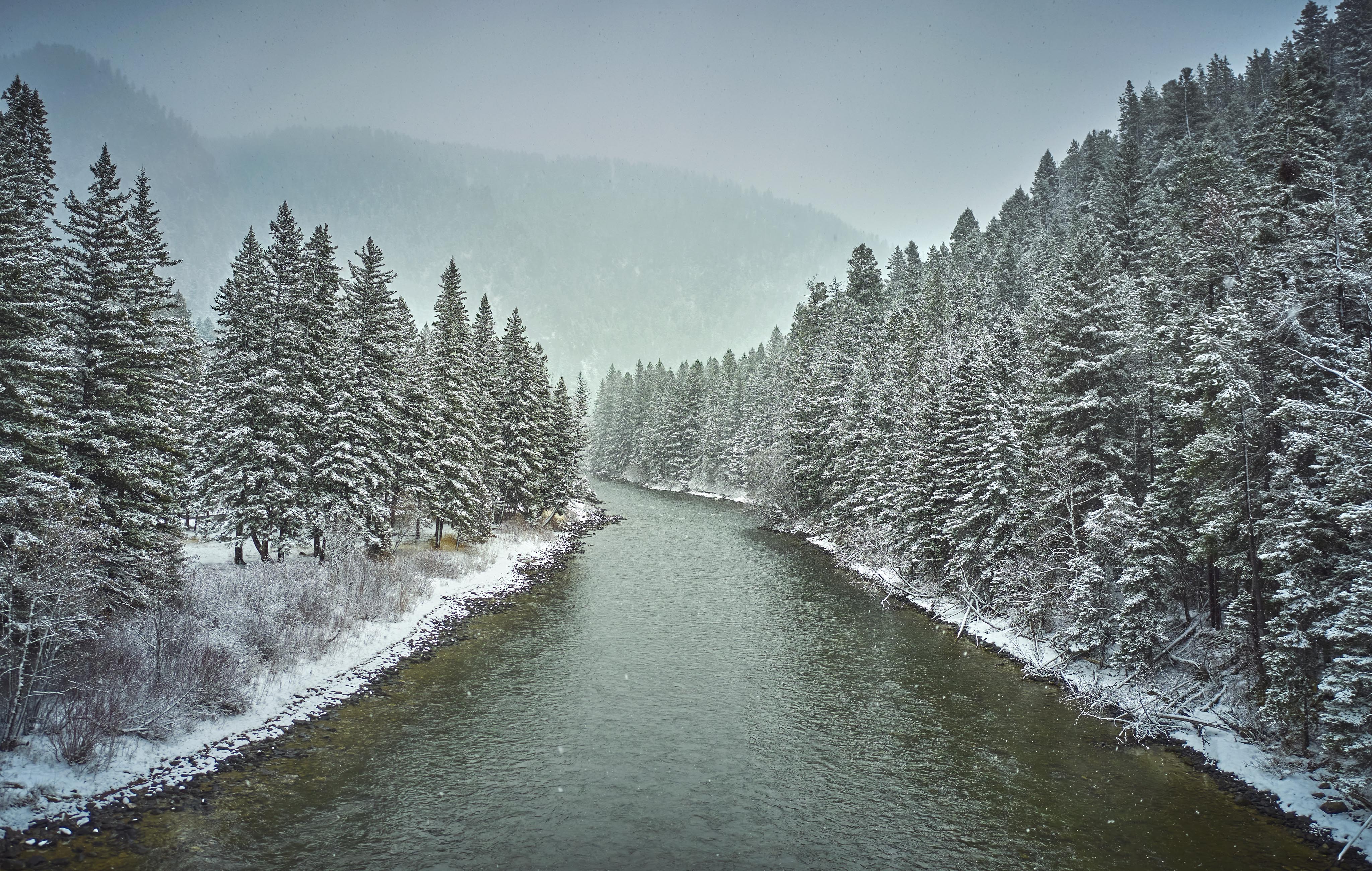 Gallatin river lined with snow dusted trees, distant mountain Montana