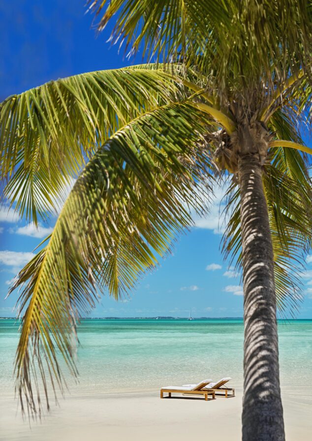 Two lounge chairs on a sandy beach with a palm tree in the foreground and clear blue ocean under a sunny sky.