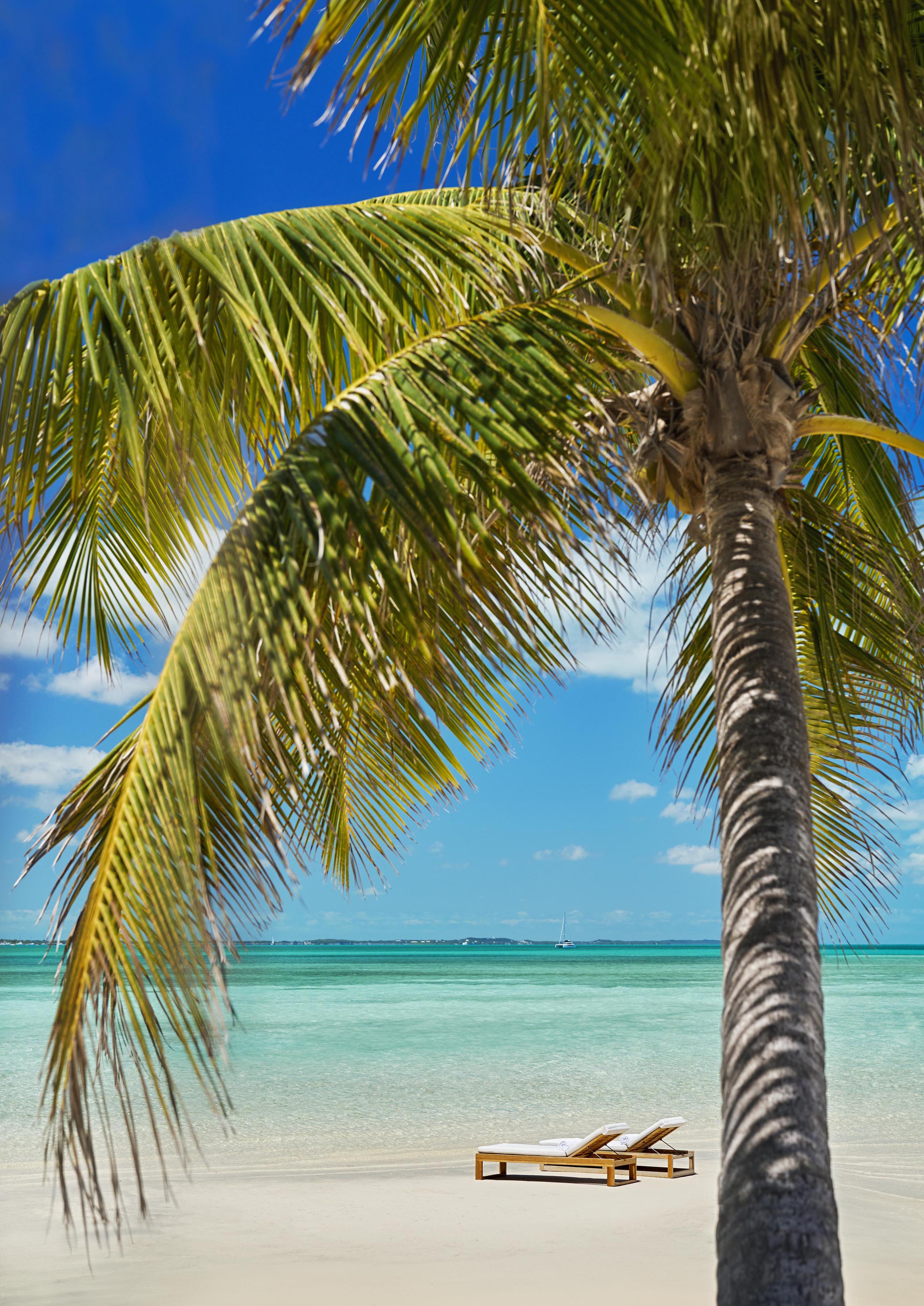 Two lounge chairs on a sandy beach with a palm tree in the foreground and clear blue ocean under a sunny sky.