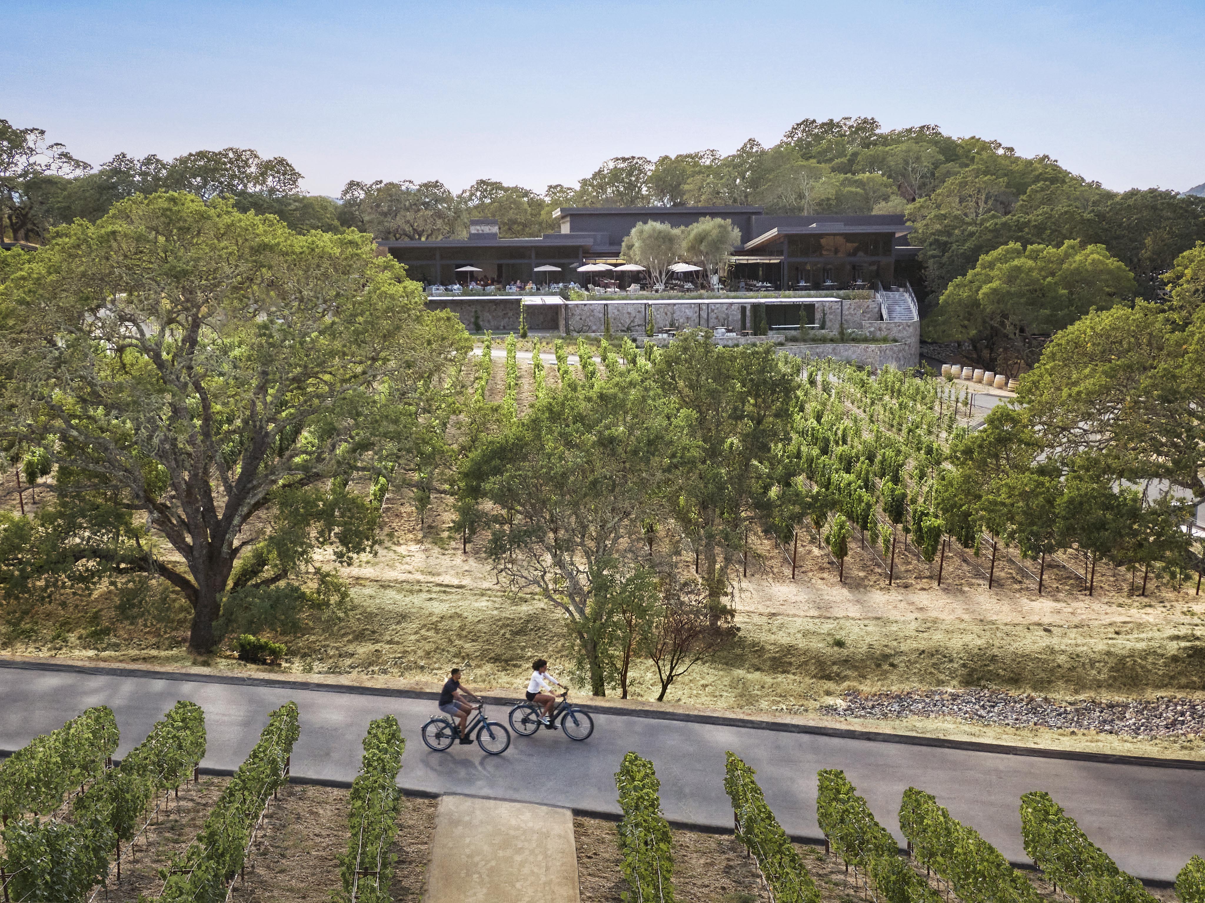 Two people ride bicycles on a path through a vineyard, with a modern building and trees in the background under a clear sky.