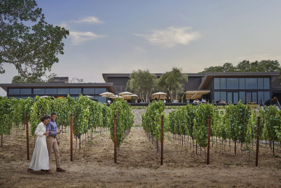 A couple walks through a lush vineyard towards a modern building with large windows and patio seating under umbrellas, set against a clear sky.