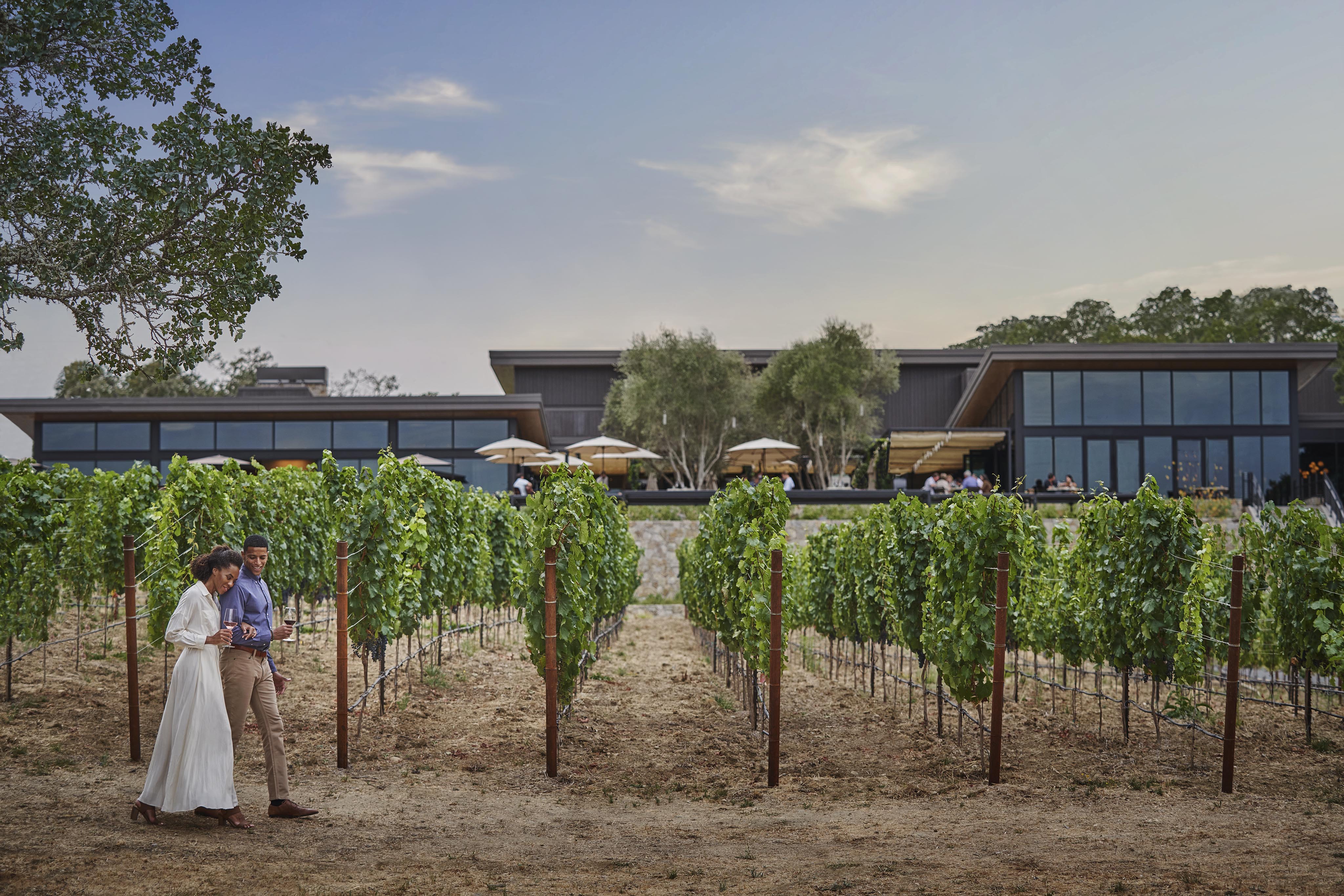 A couple walks through a lush vineyard towards a modern building with large windows and patio seating under umbrellas, set against a clear sky.
