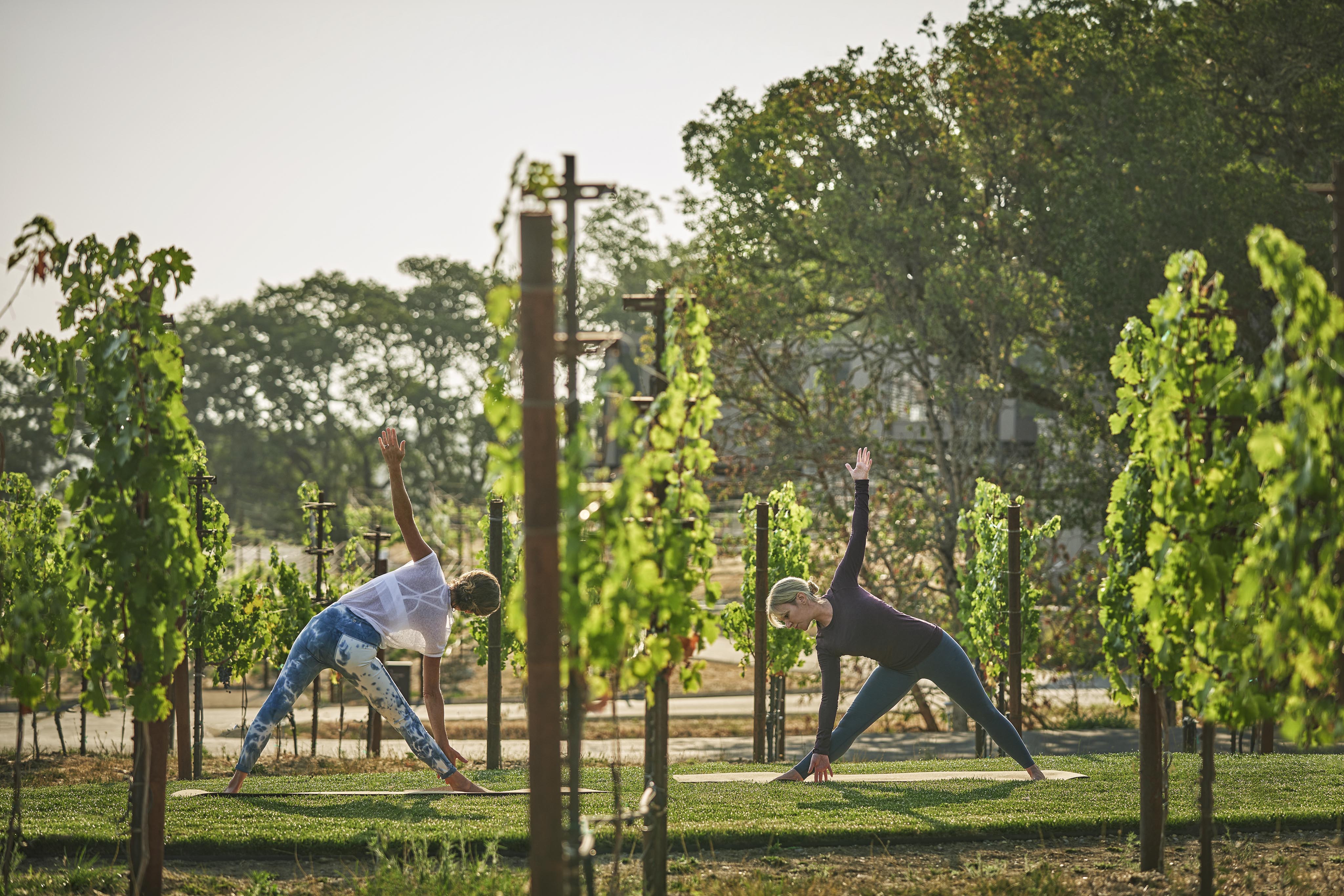 Two people practice yoga on grass in a vineyard, surrounded by grapevines and trees, under a clear sky.