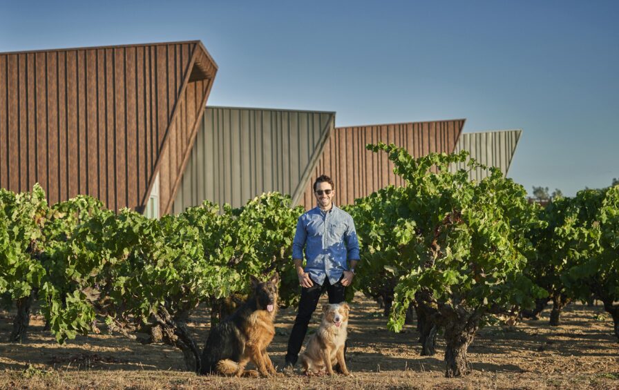 A man stands among vineyard rows with two dogs, set against a backdrop of modern angular buildings under a clear blue sky.