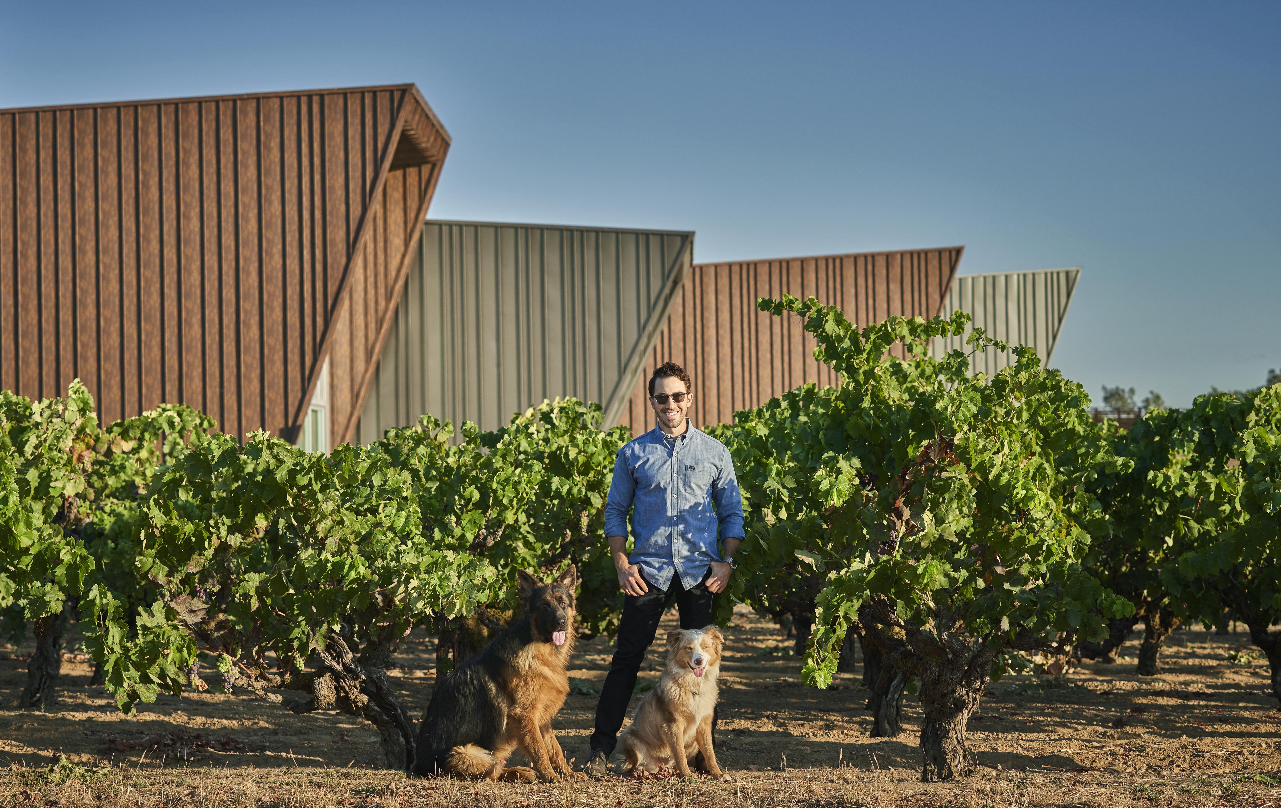 A man stands among vineyard rows with two dogs, set against a backdrop of modern angular buildings under a clear blue sky.