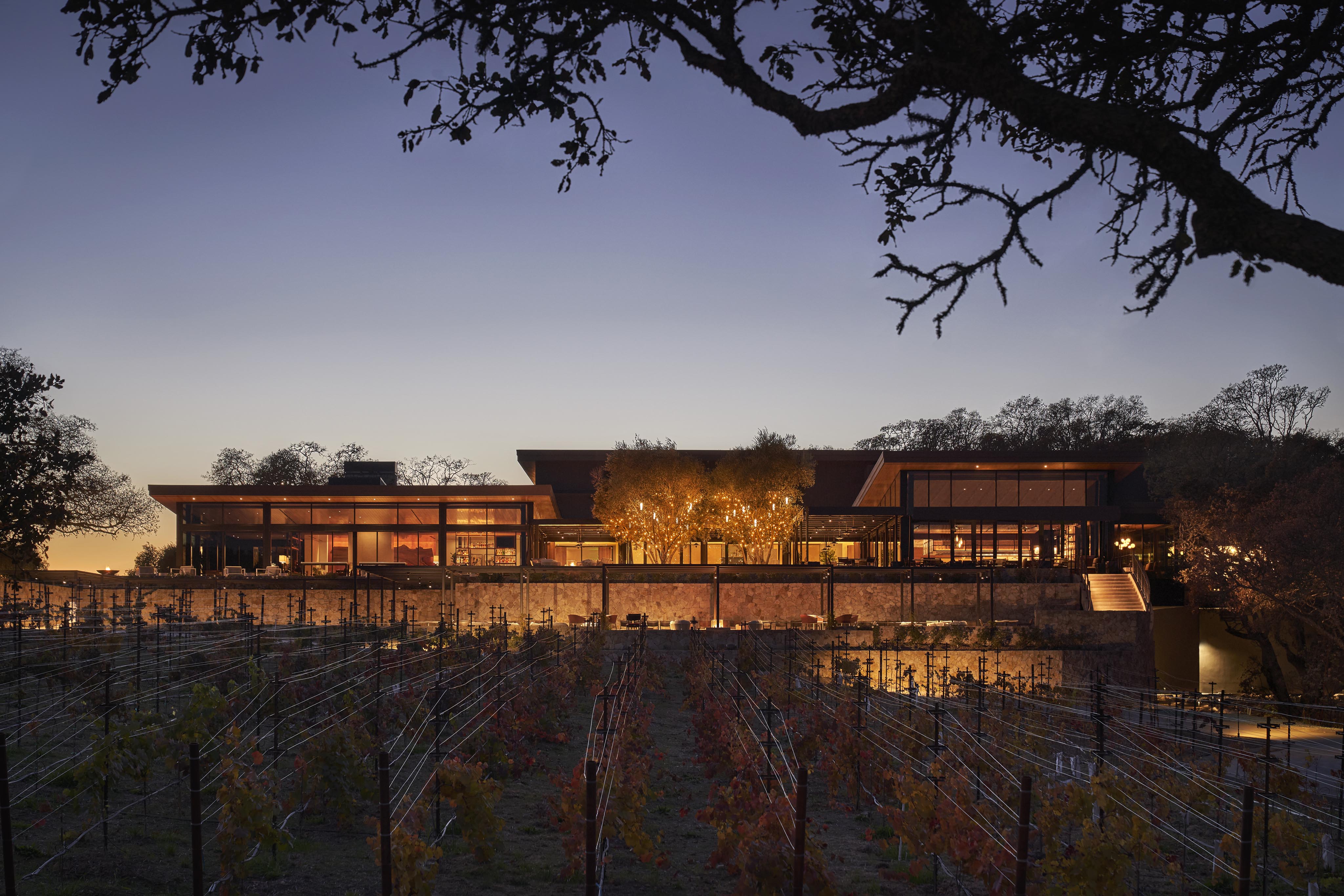 A modern building with large windows is illuminated at dusk, surrounded by trees and in front of a vineyard.